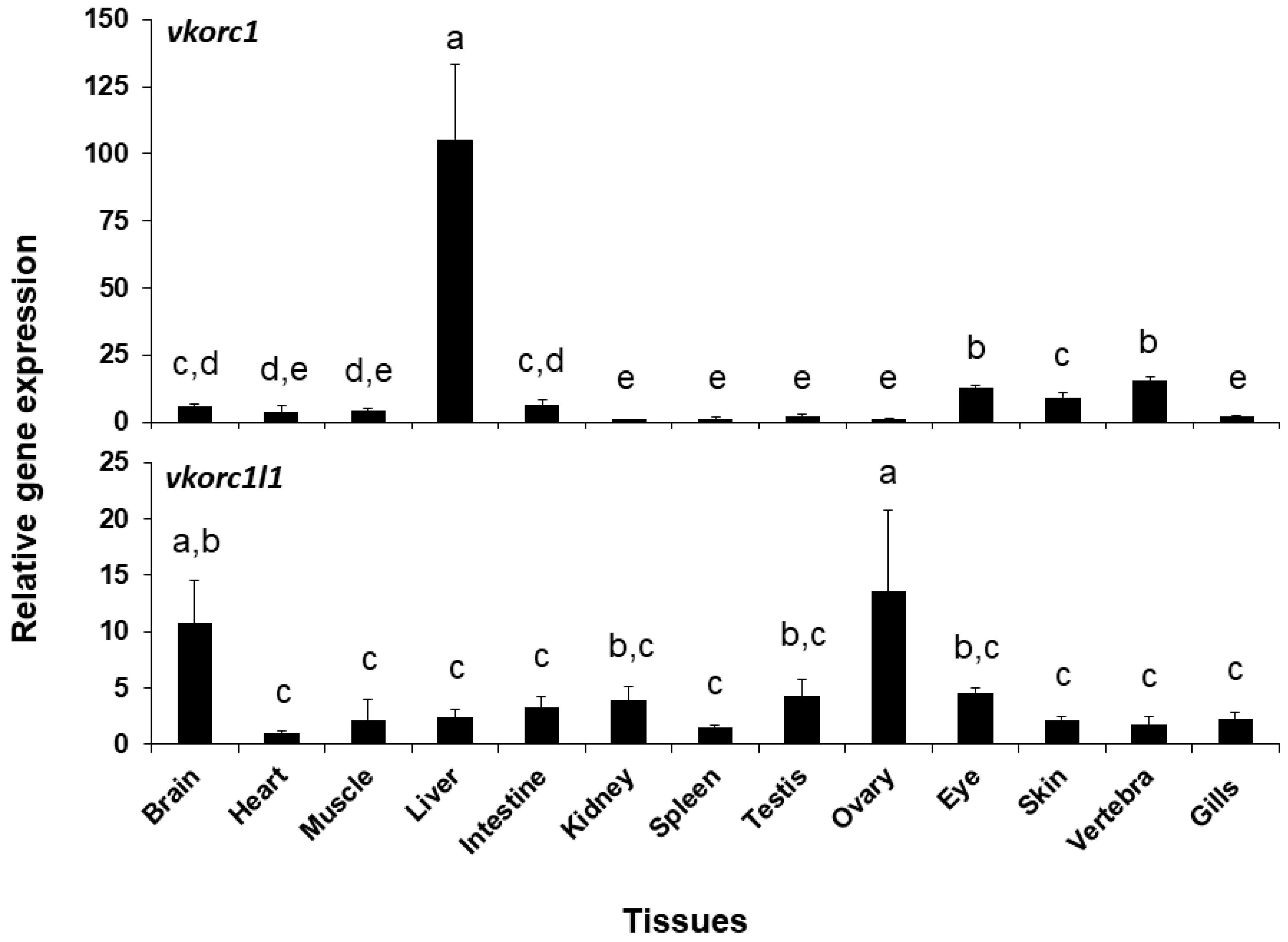 Ijms 21 03489 g005 Ijms 21 03489 g005