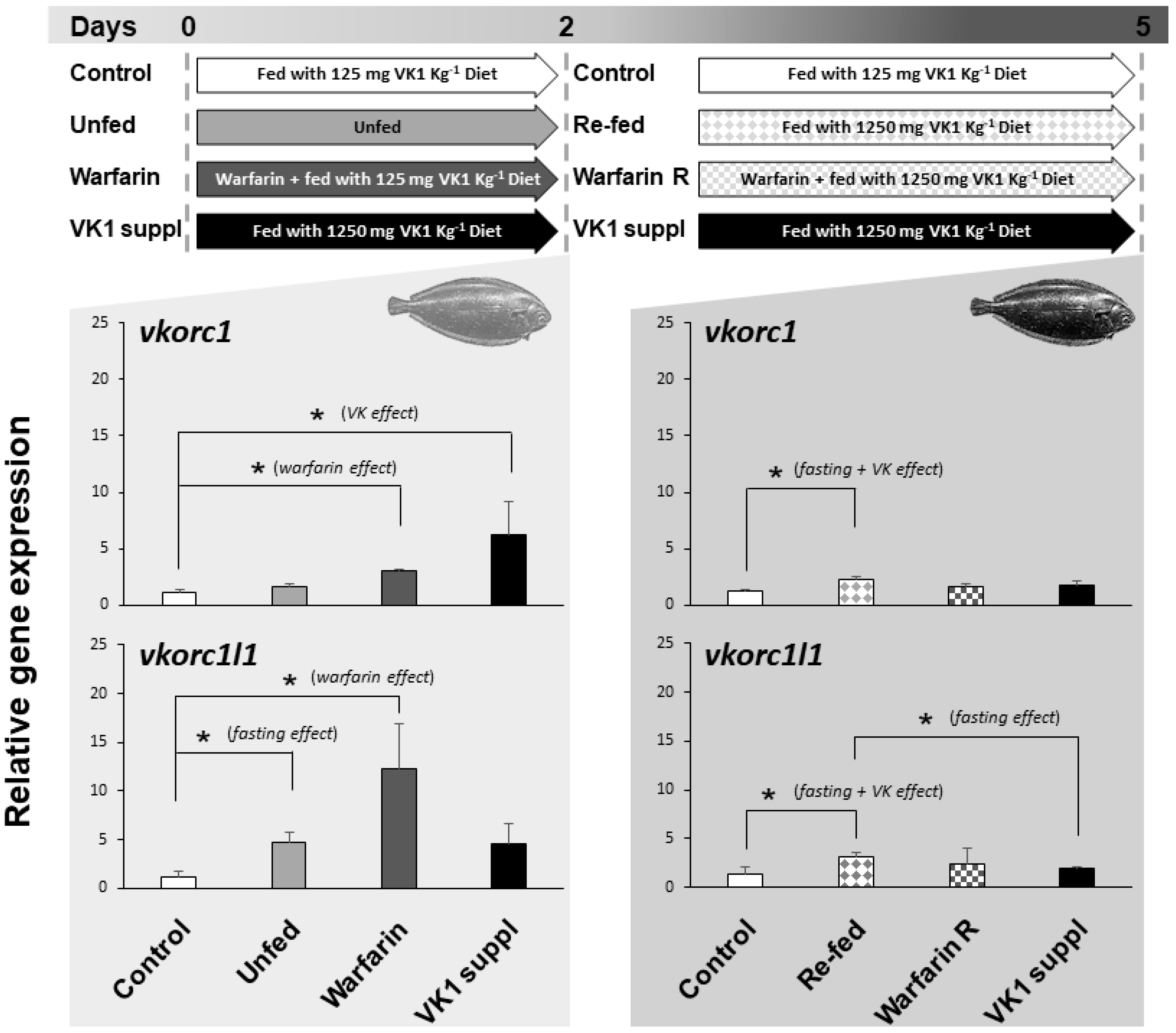 Ijms 21 03489 g006 Ijms 21 03489 g006