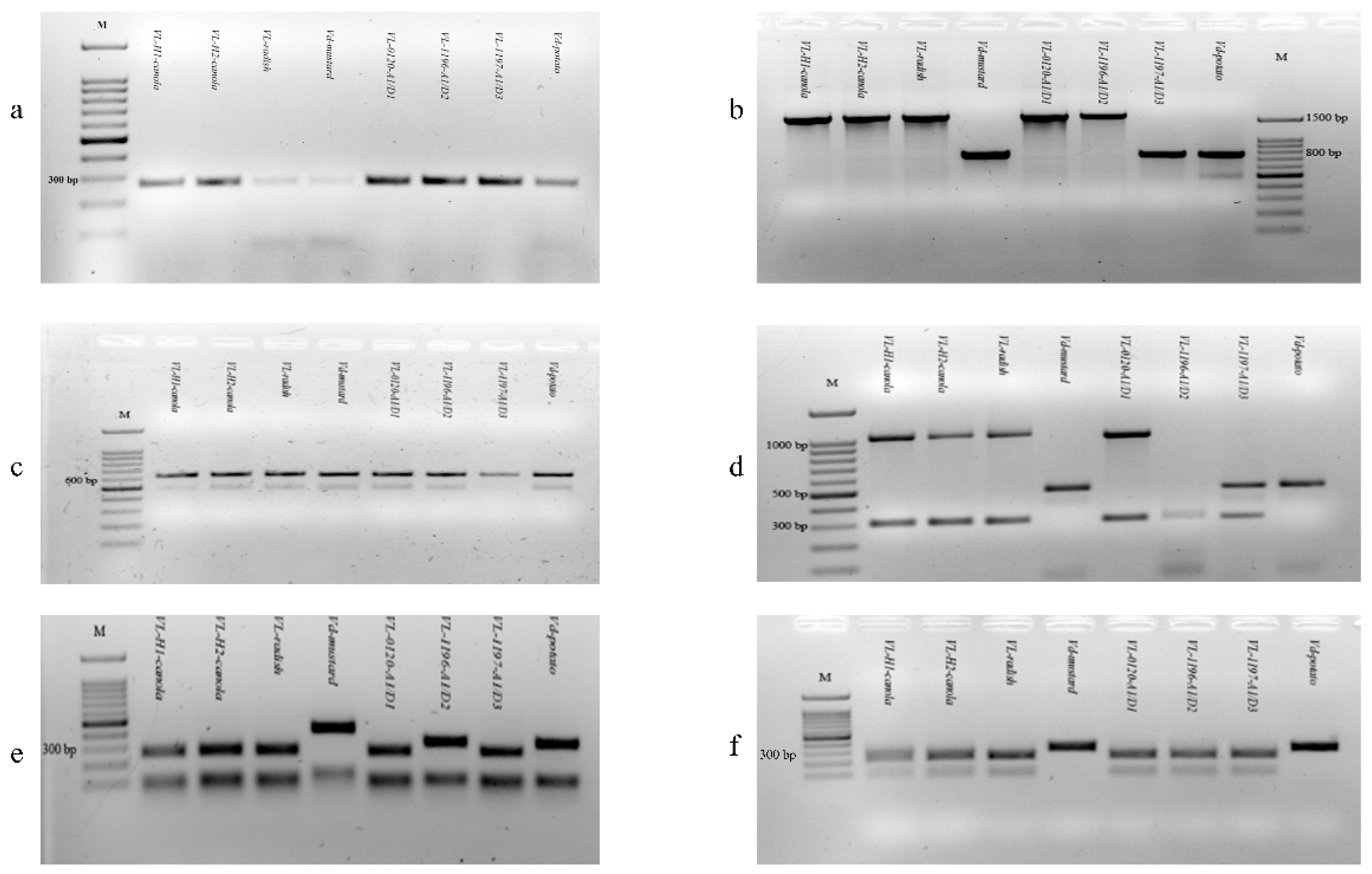 Ijms 21 03499 g002 Ijms 21 03499 g002