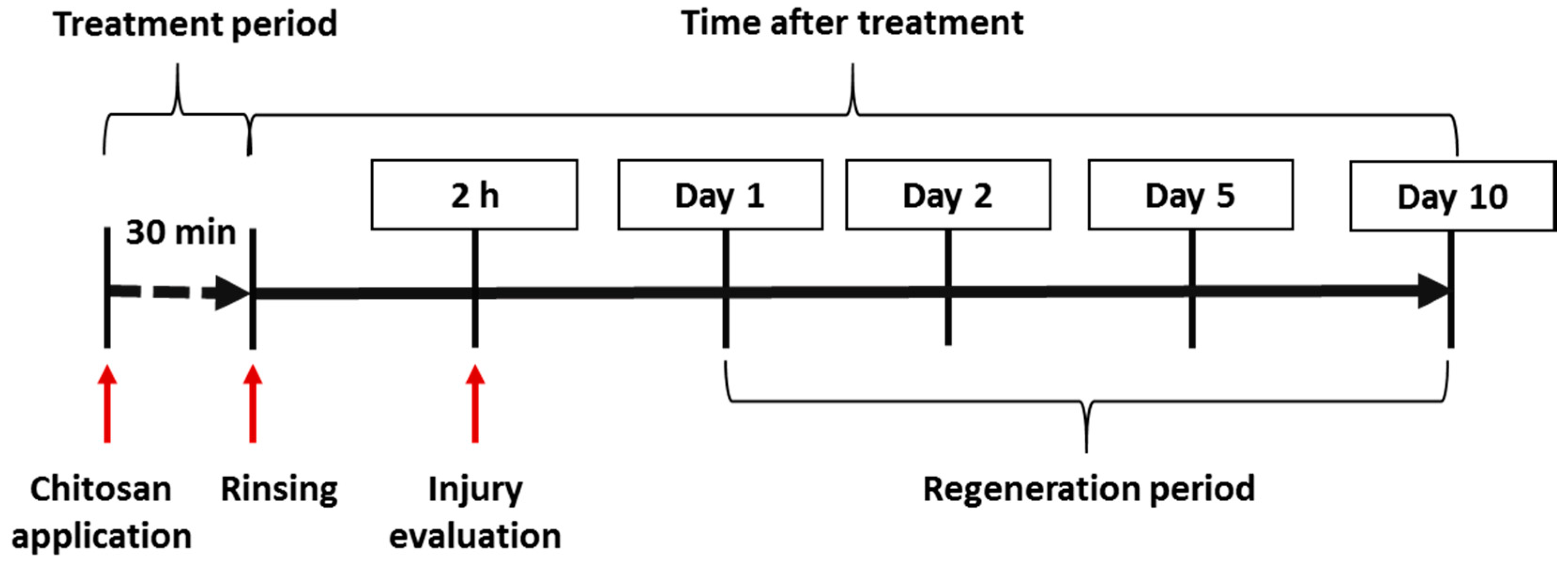 Ijms 21 03502 sch002