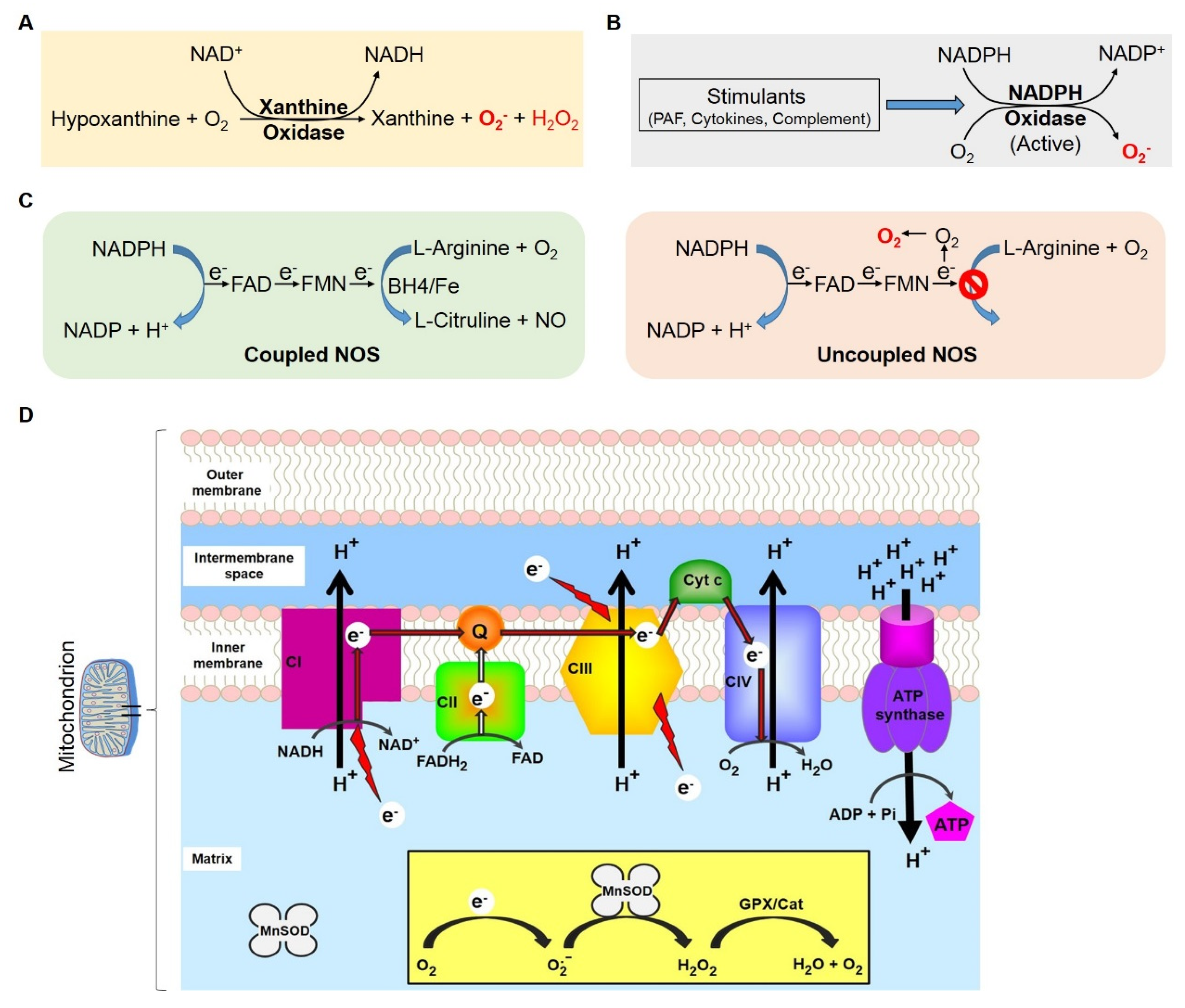 Ijms 21 03506 g001 Ijms 21 03506 g001