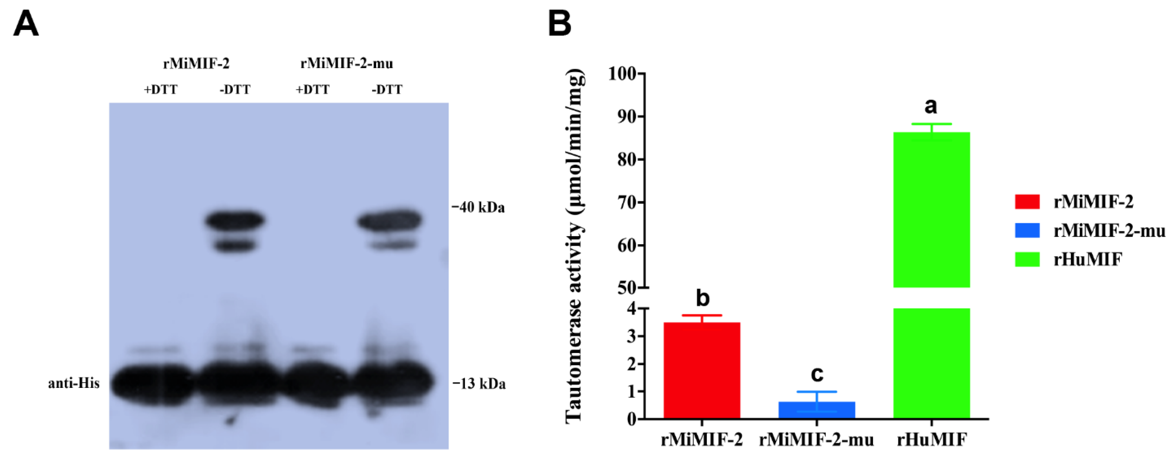 Ijms 21 03507 g001 Ijms 21 03507 g001