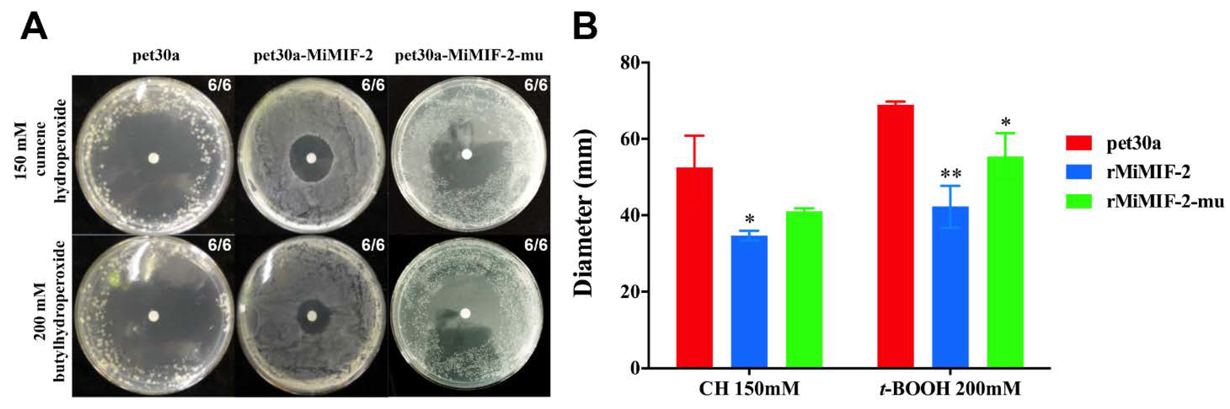 Ijms 21 03507 g002 Ijms 21 03507 g002