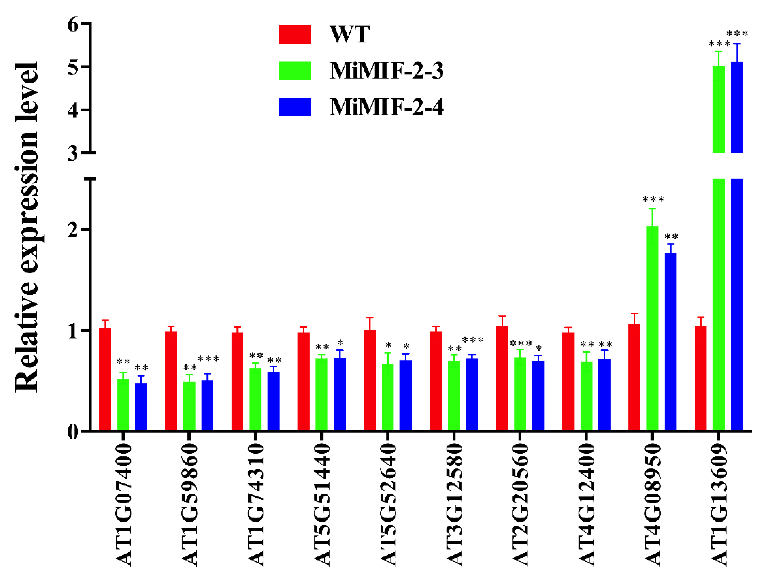Ijms 21 03507 g005 Ijms 21 03507 g005
