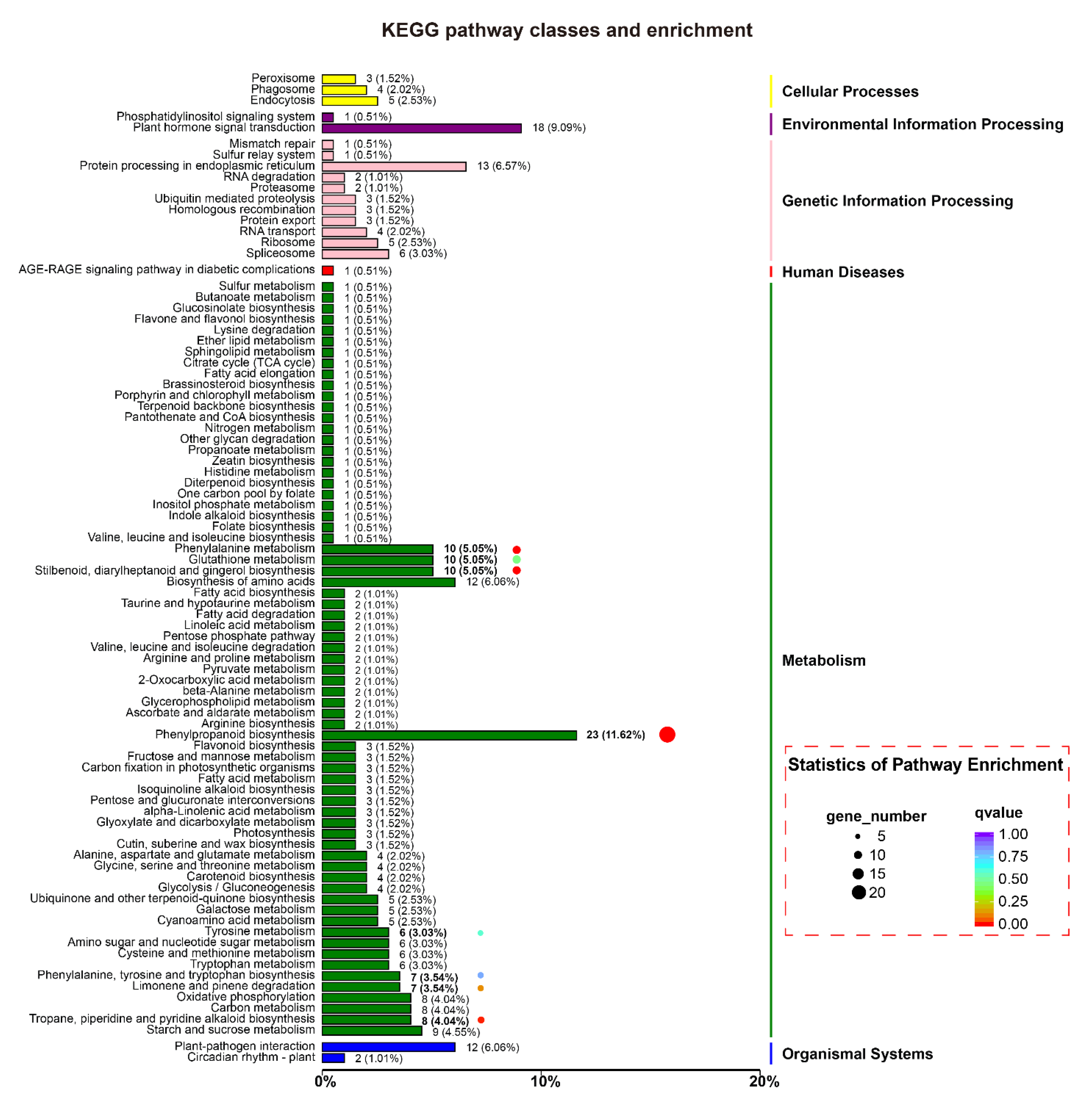Ijms 21 03507 g006 Ijms 21 03507 g006