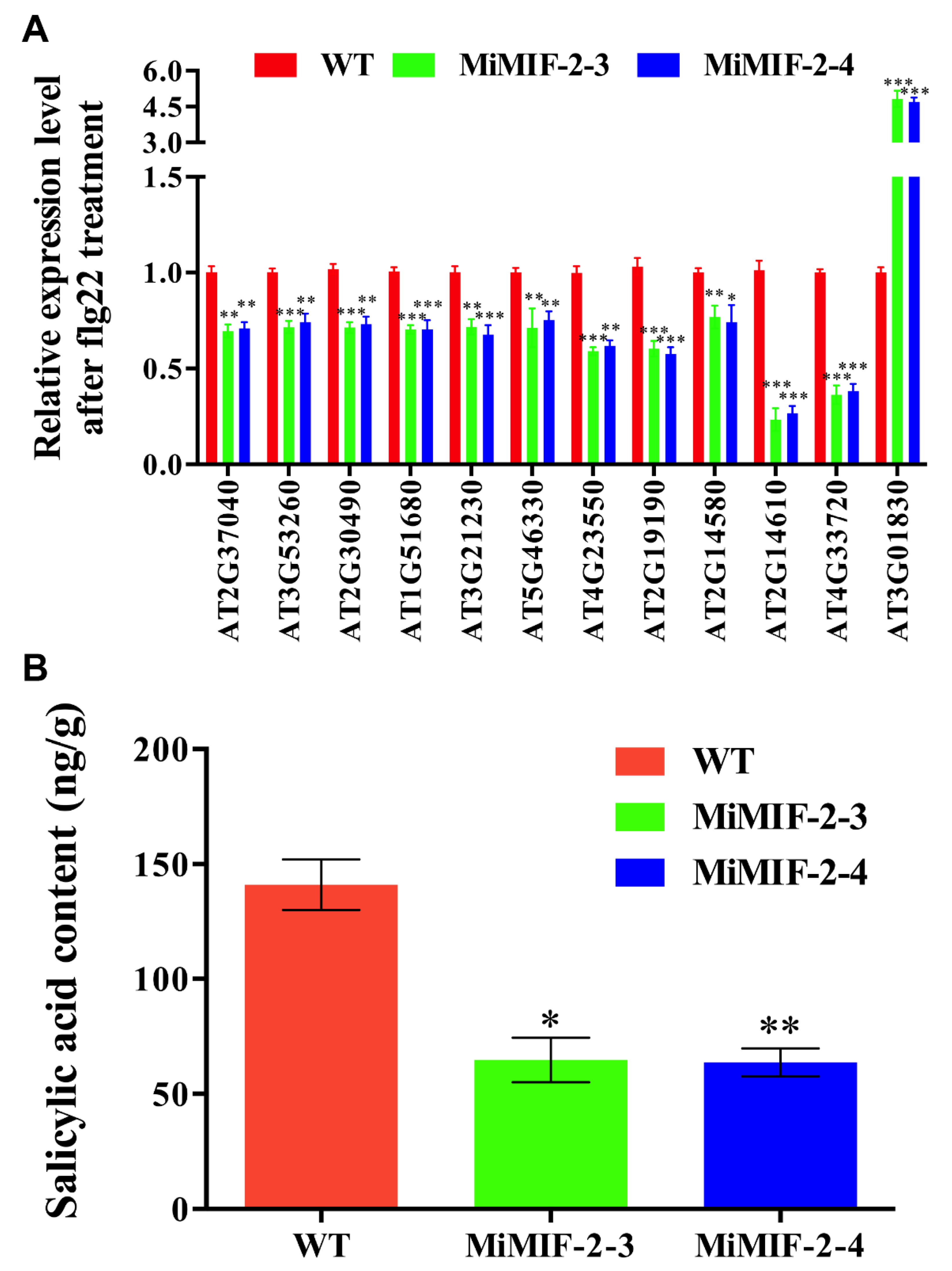 Ijms 21 03507 g007 Ijms 21 03507 g007