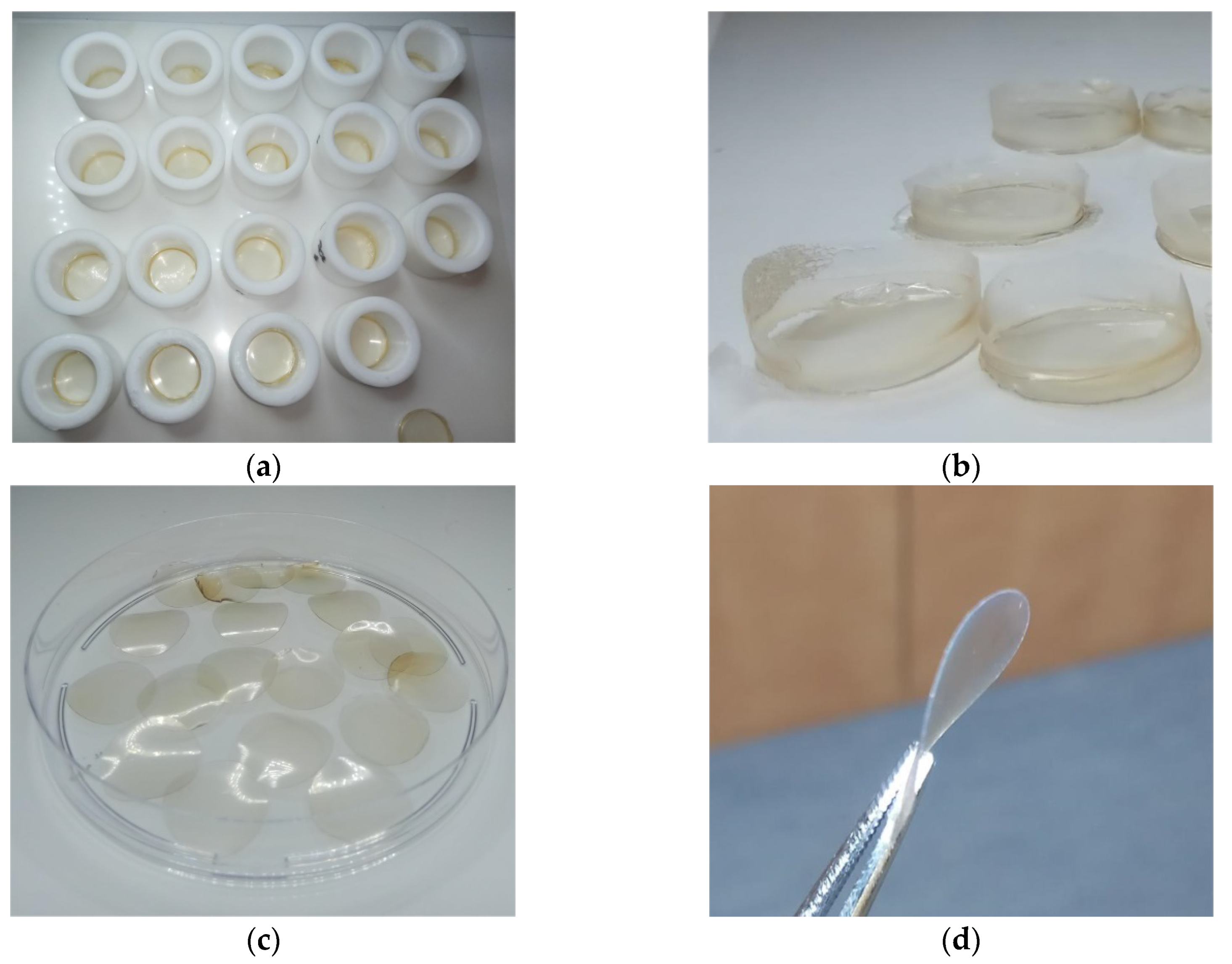 Ijms 21 03512 g003 Ijms 21 03512 g003