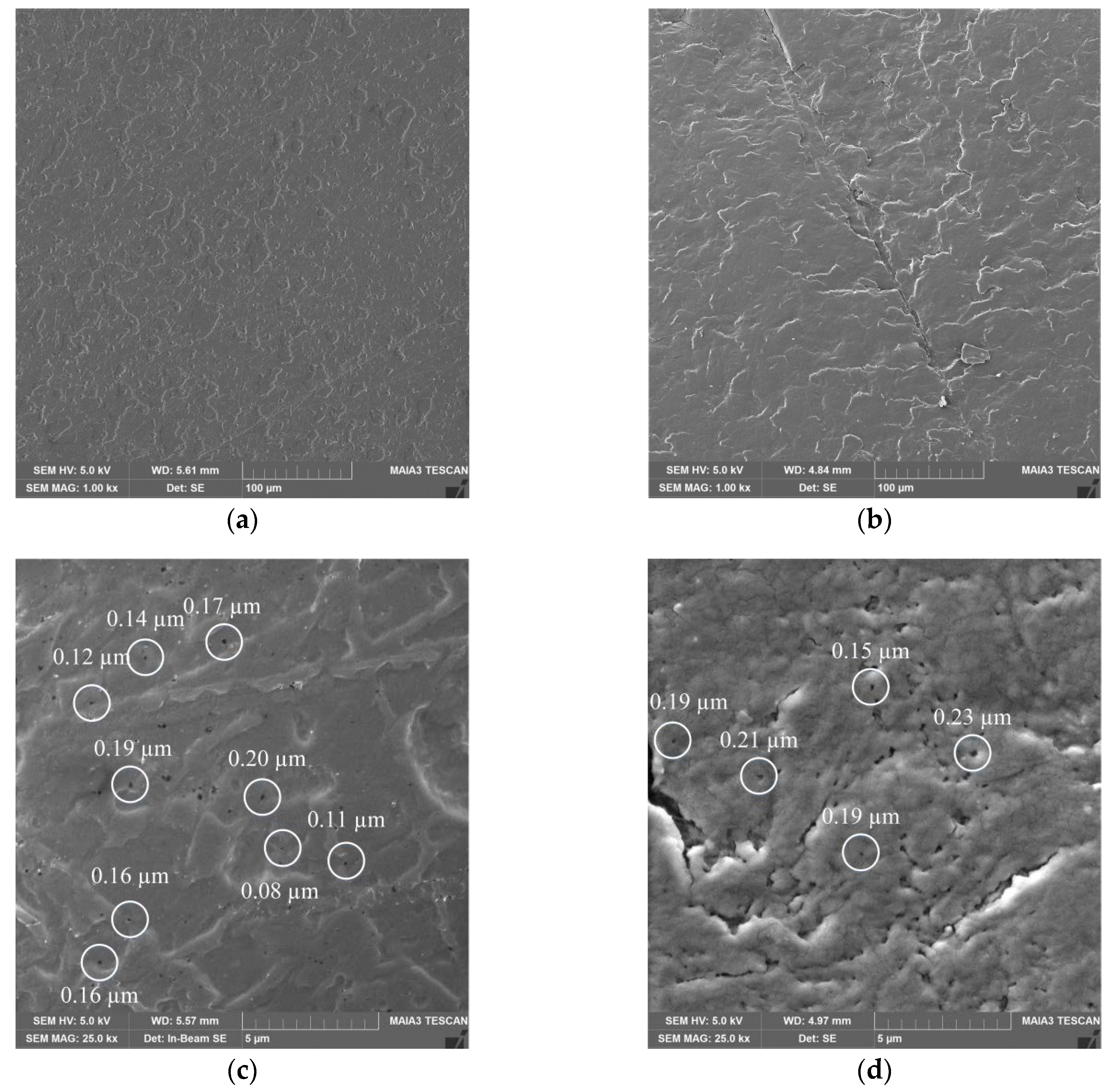 Ijms 21 03512 g007 Ijms 21 03512 g007