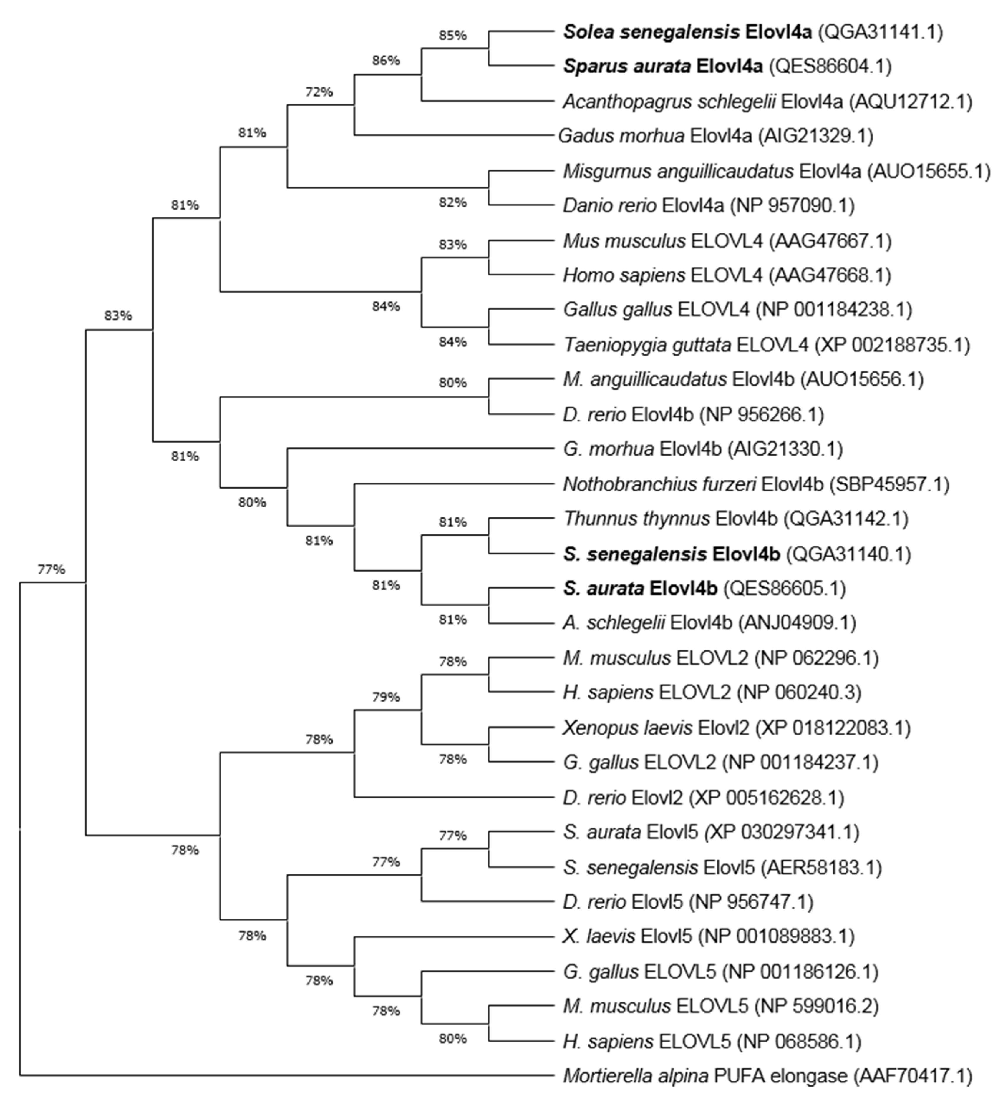 Ijms 21 03514 g002 Ijms 21 03514 g002