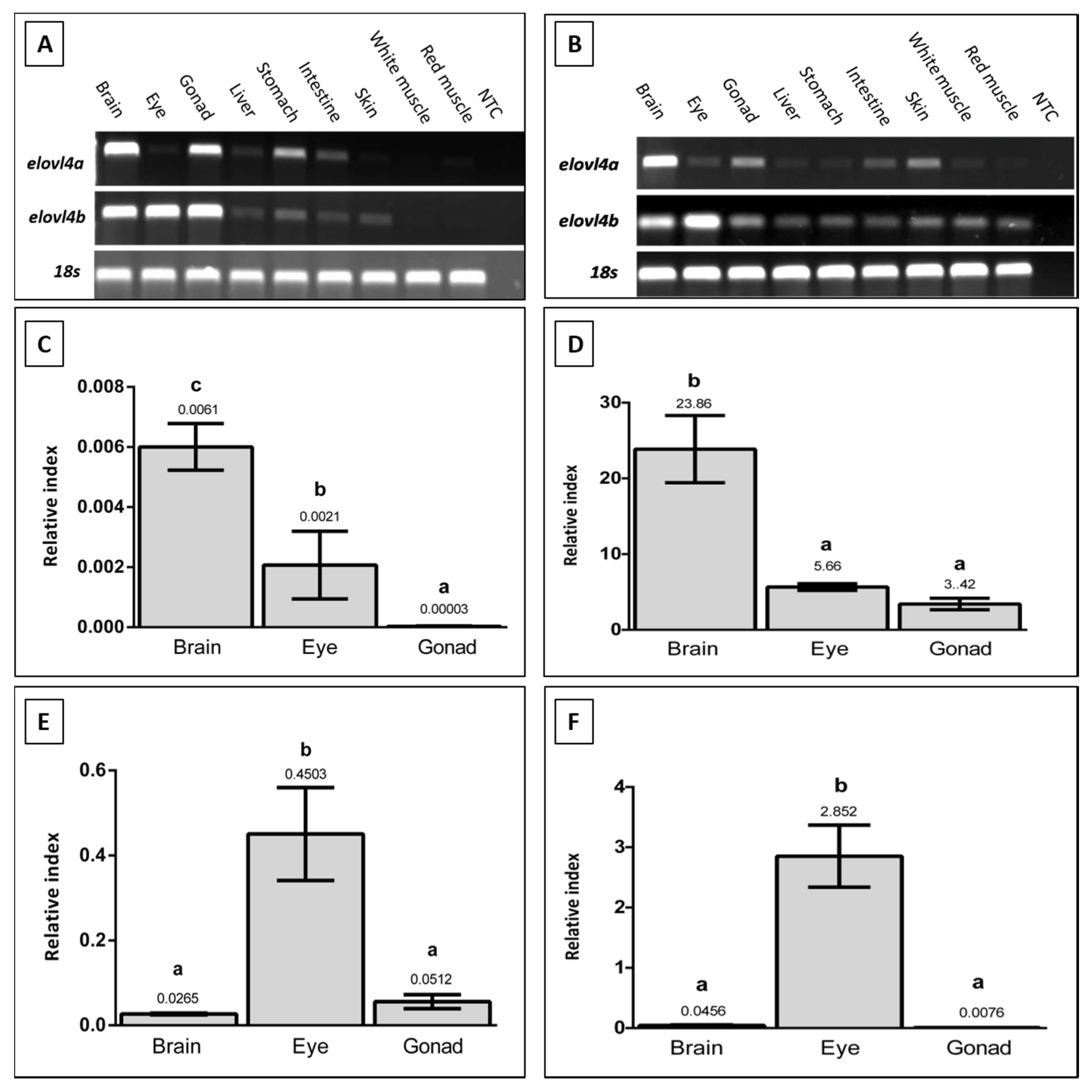 Ijms 21 03514 g003 Ijms 21 03514 g003