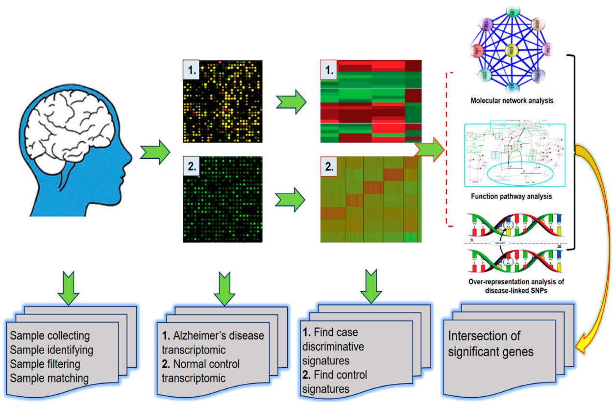 Ijms 21 03517 g001 Ijms 21 03517 g001