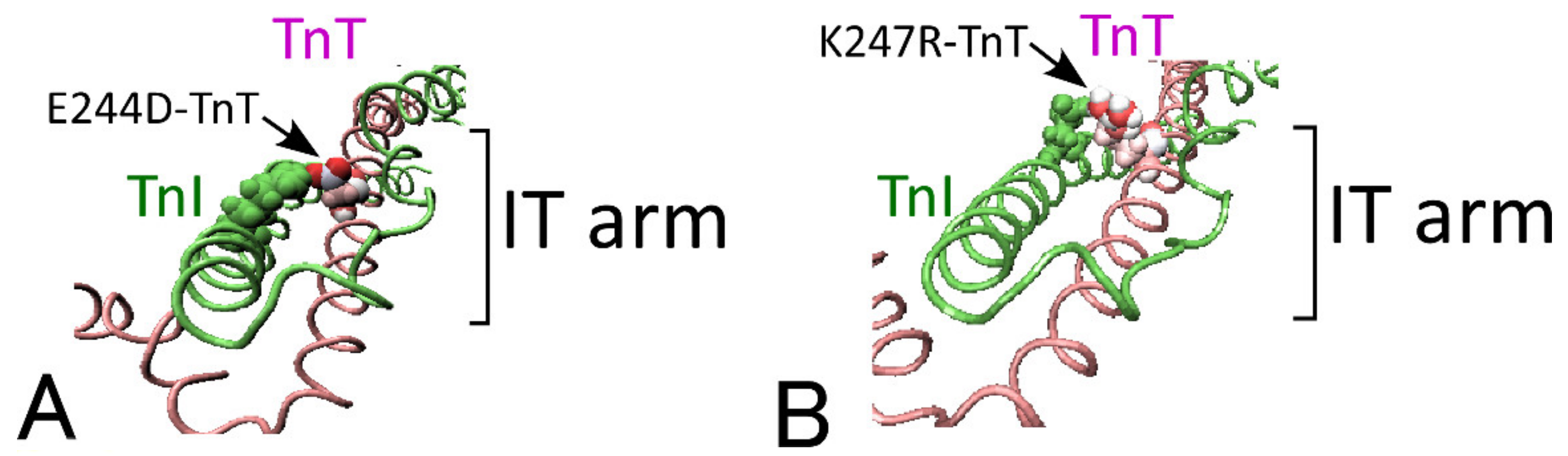 Ijms 21 03520 g001 Ijms 21 03520 g001