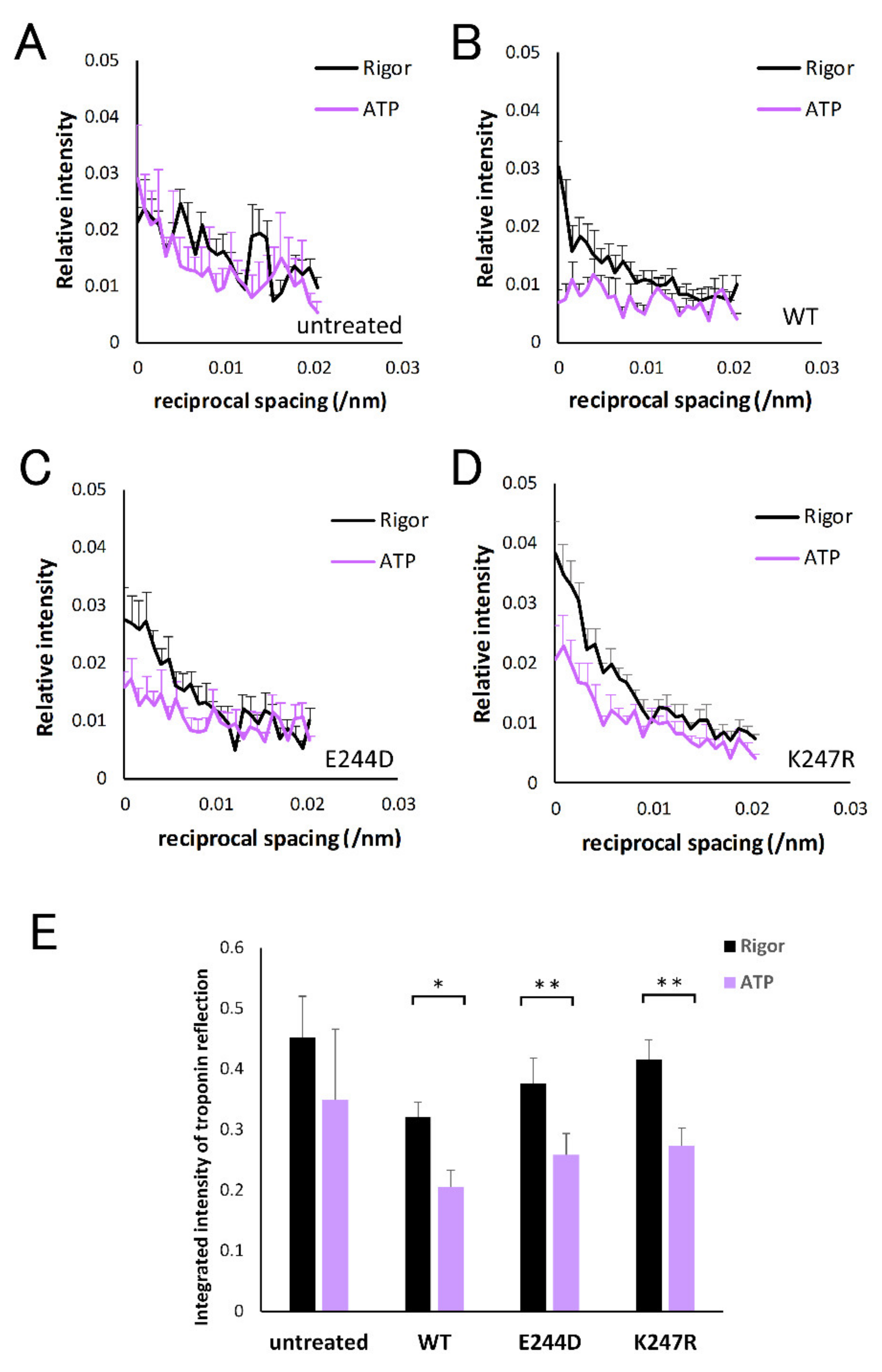 Ijms 21 03520 g003 Ijms 21 03520 g003