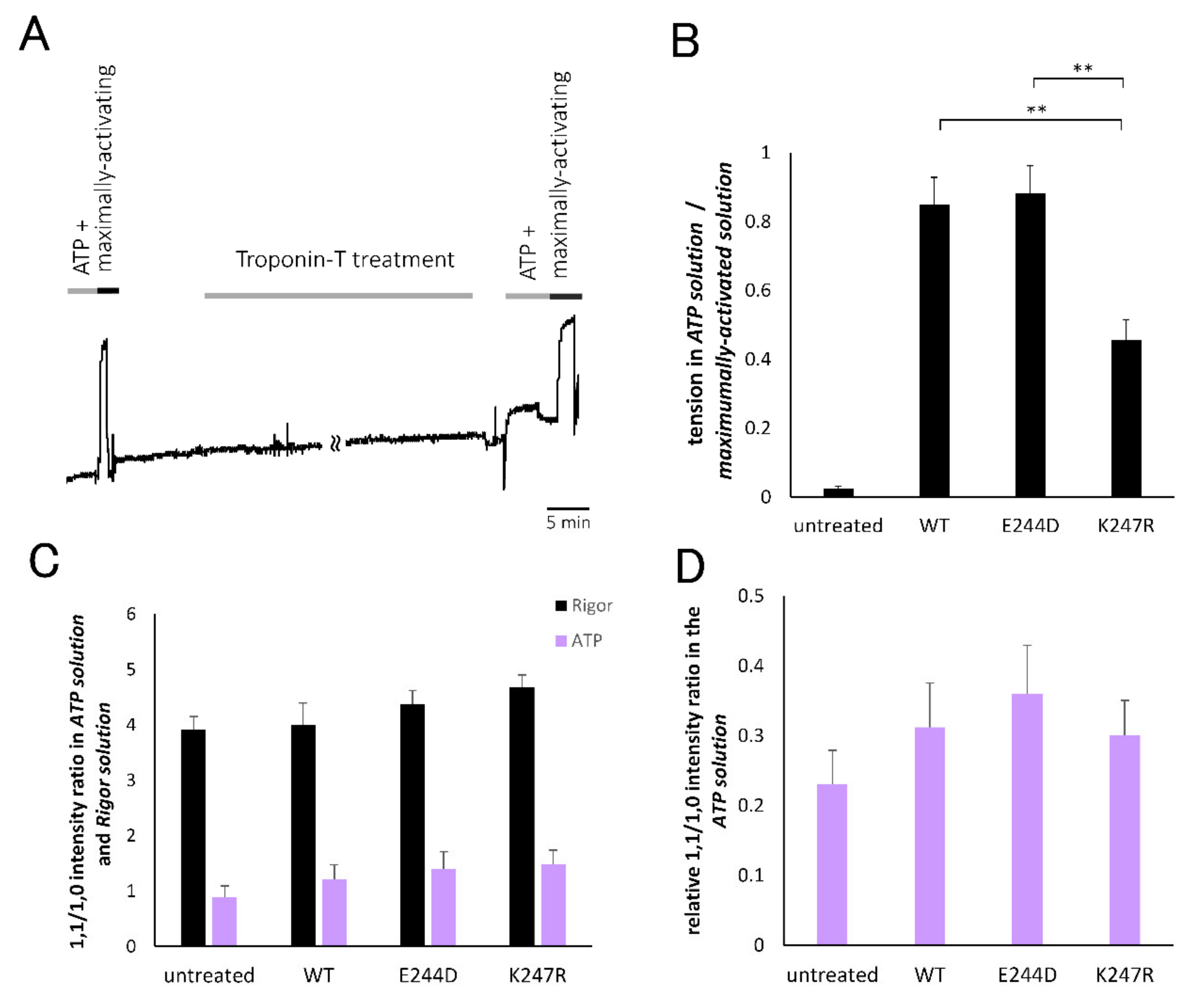 Ijms 21 03520 g004 Ijms 21 03520 g004