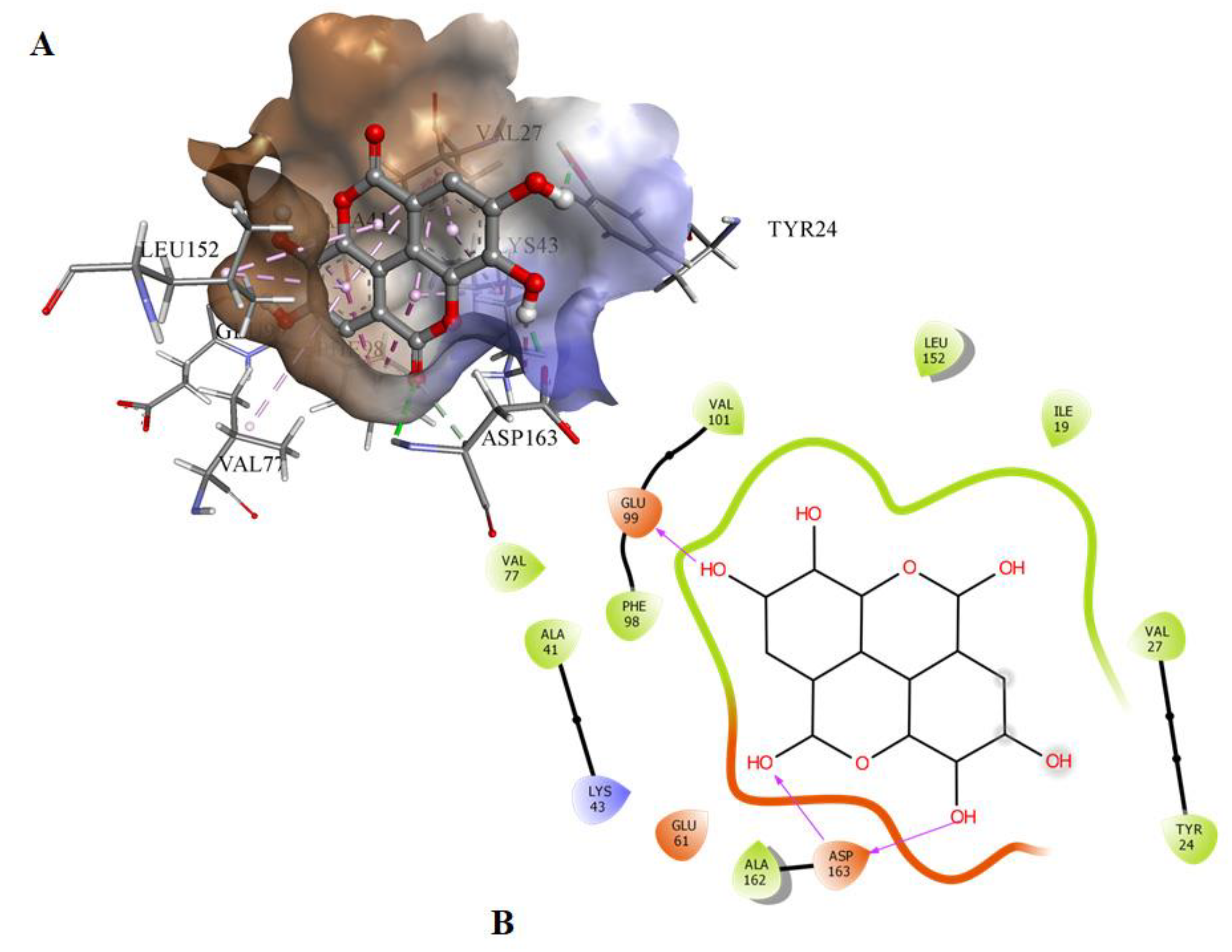 Ijms 21 03526 g001 Ijms 21 03526 g001