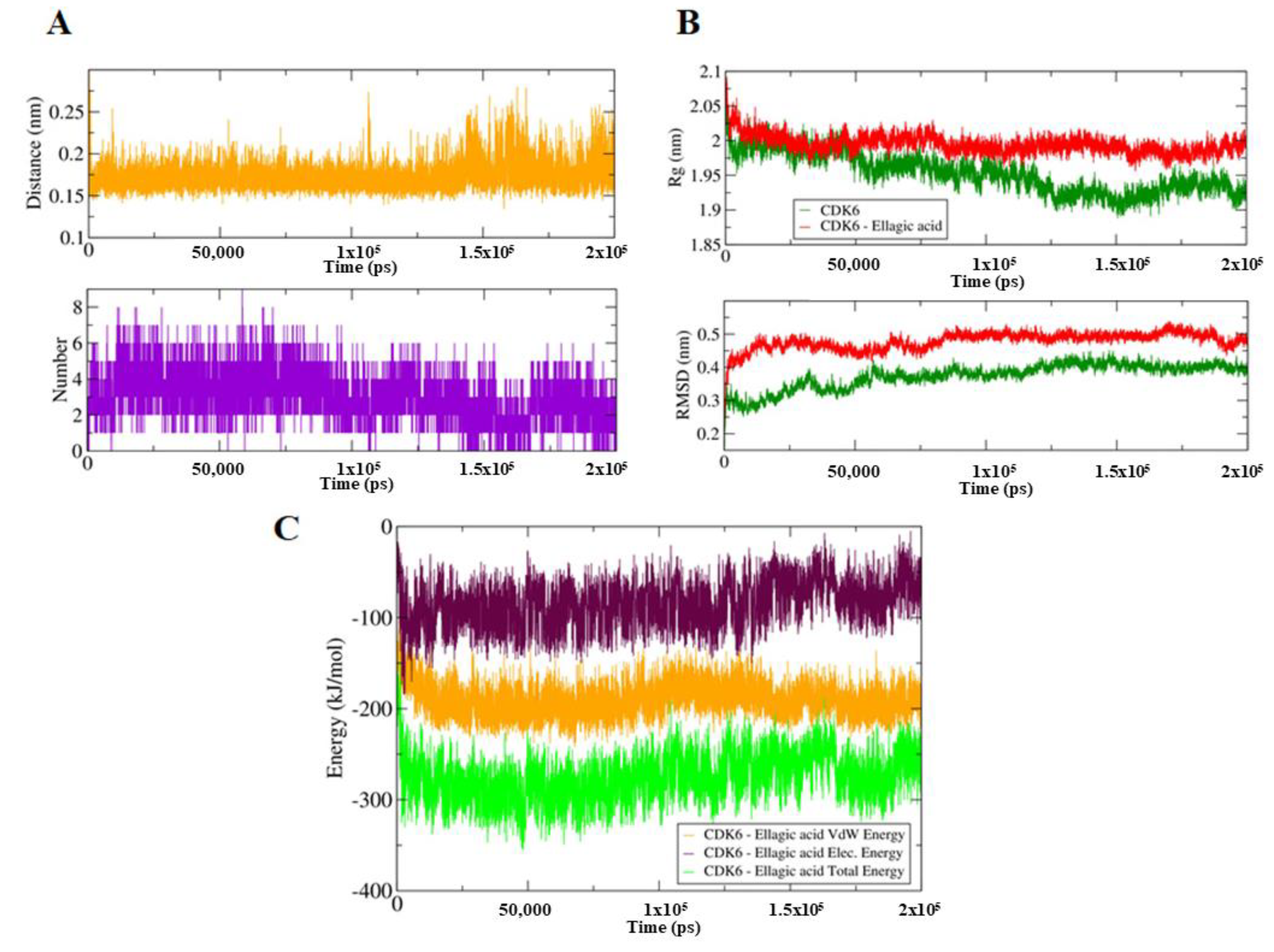 Ijms 21 03526 g002 Ijms 21 03526 g002