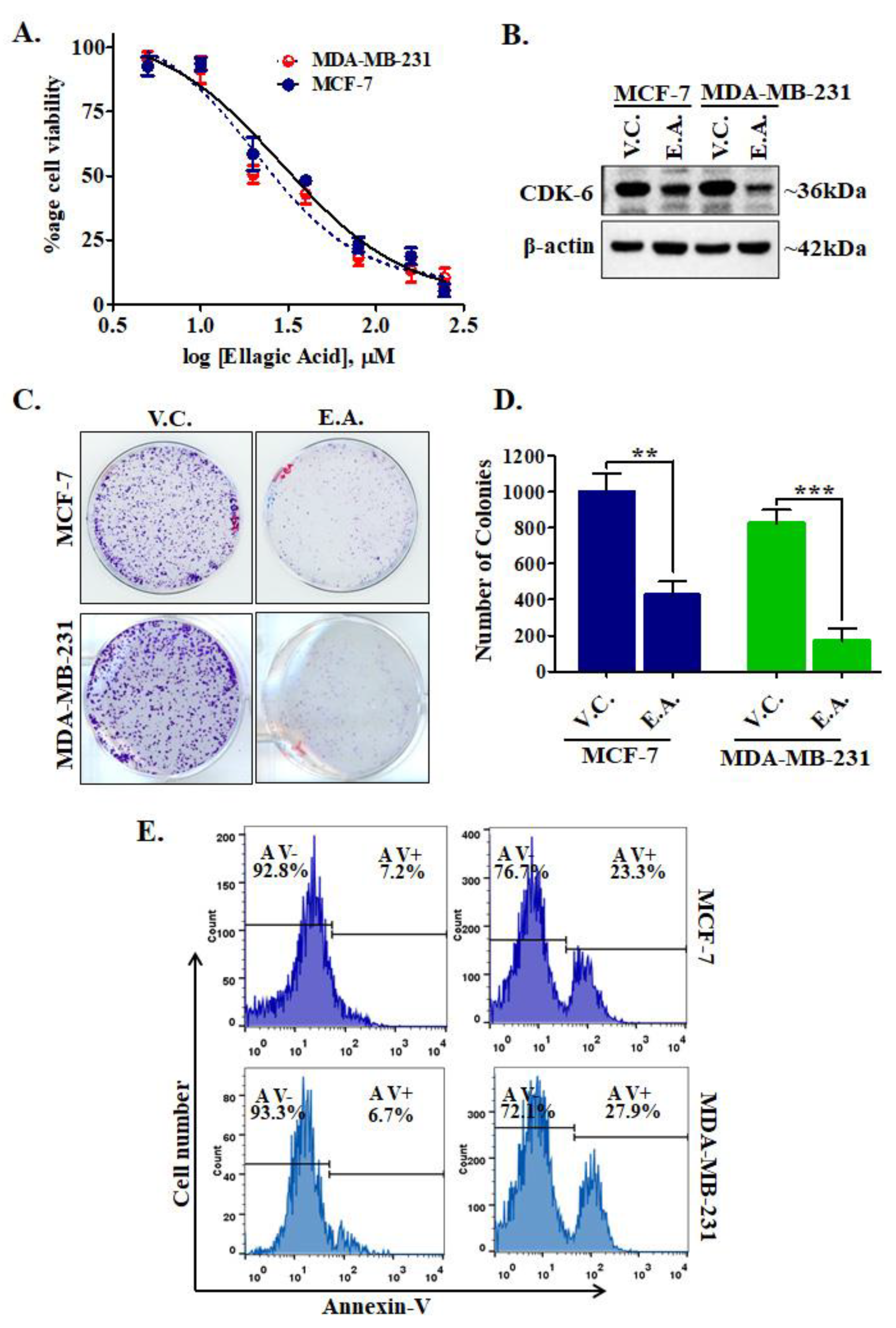Ijms 21 03526 g008 Ijms 21 03526 g008