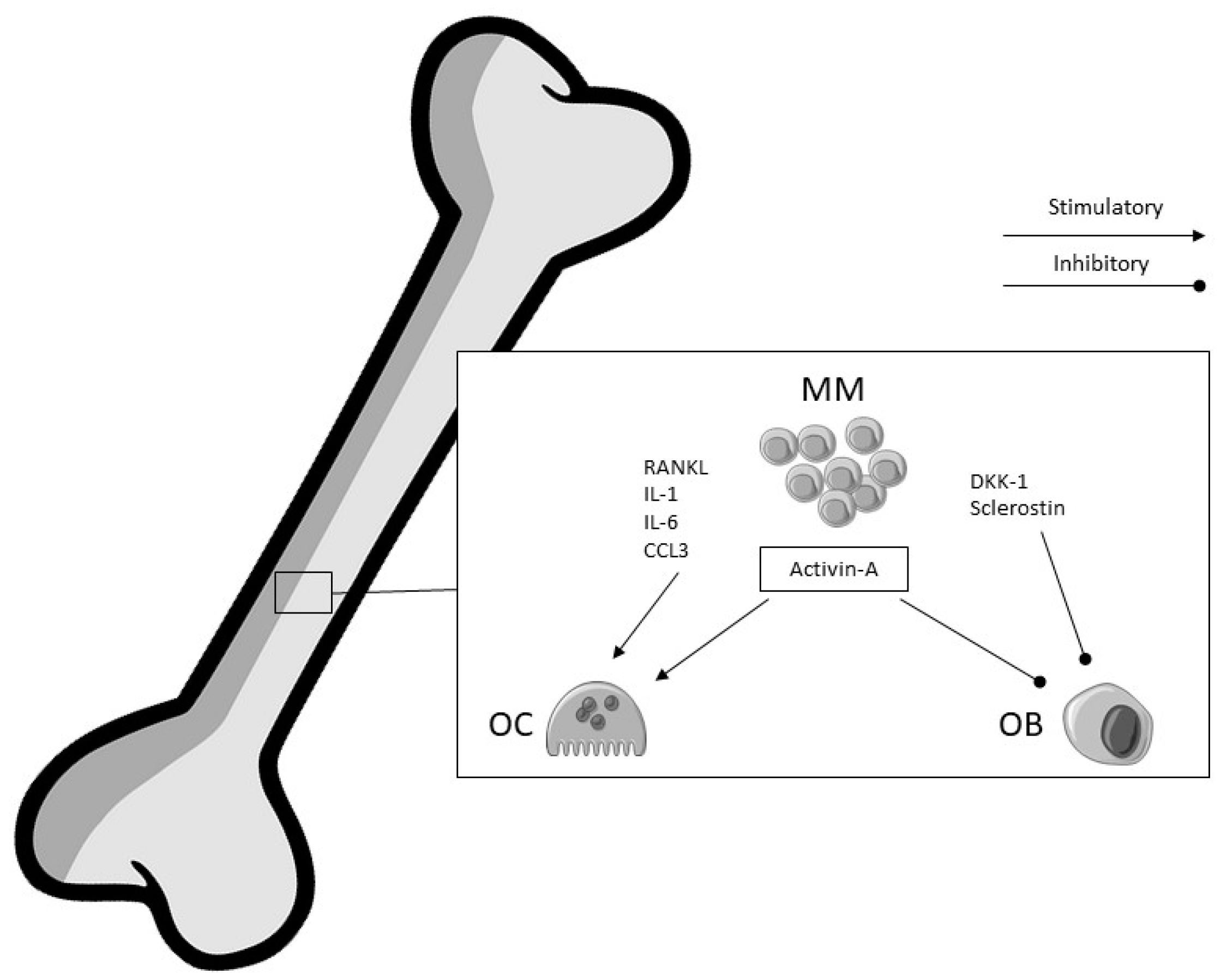 Ijms 21 03538 g001 Ijms 21 03538 g001