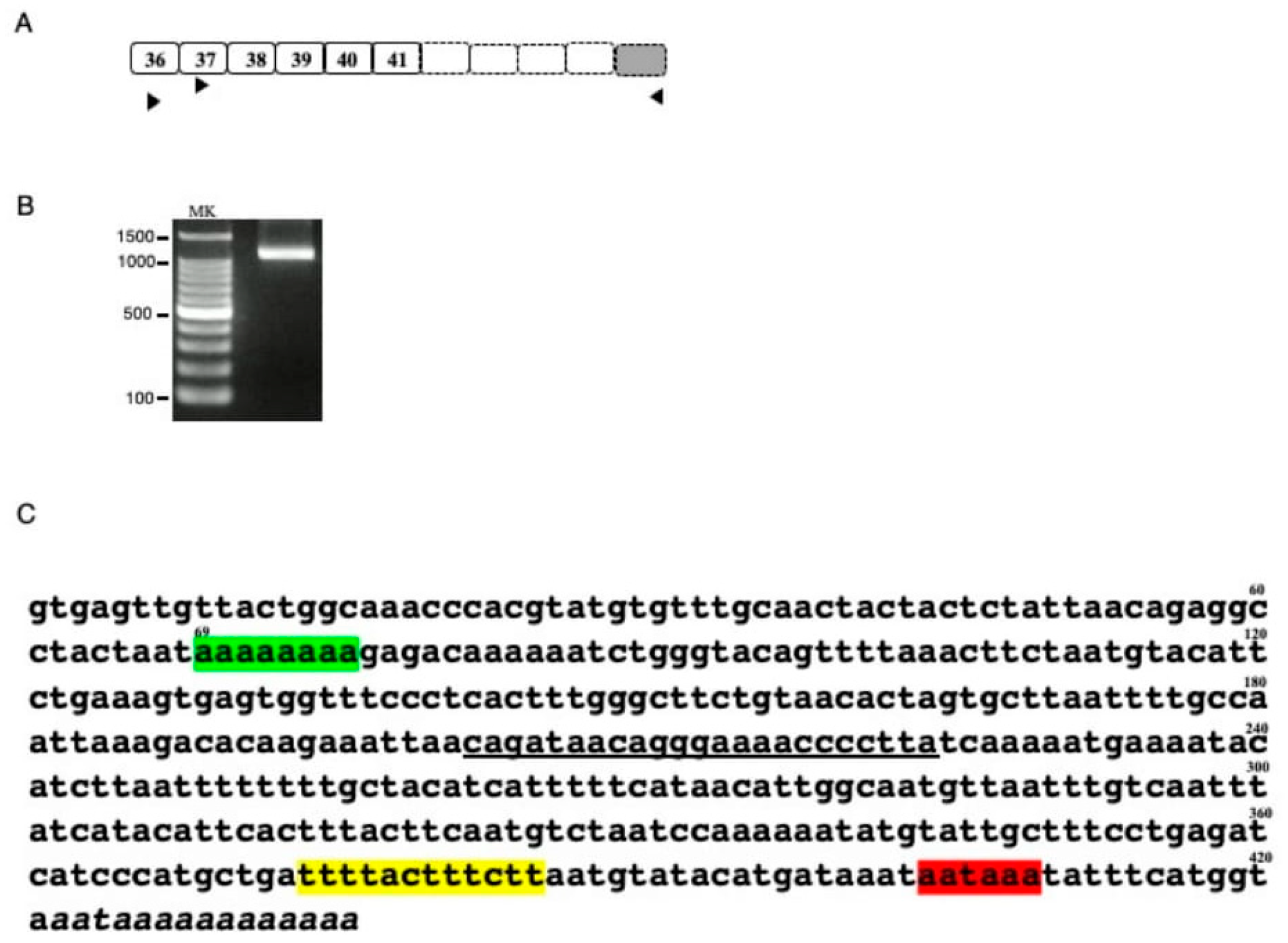 Ijms 21 03555 g001 Ijms 21 03555 g001
