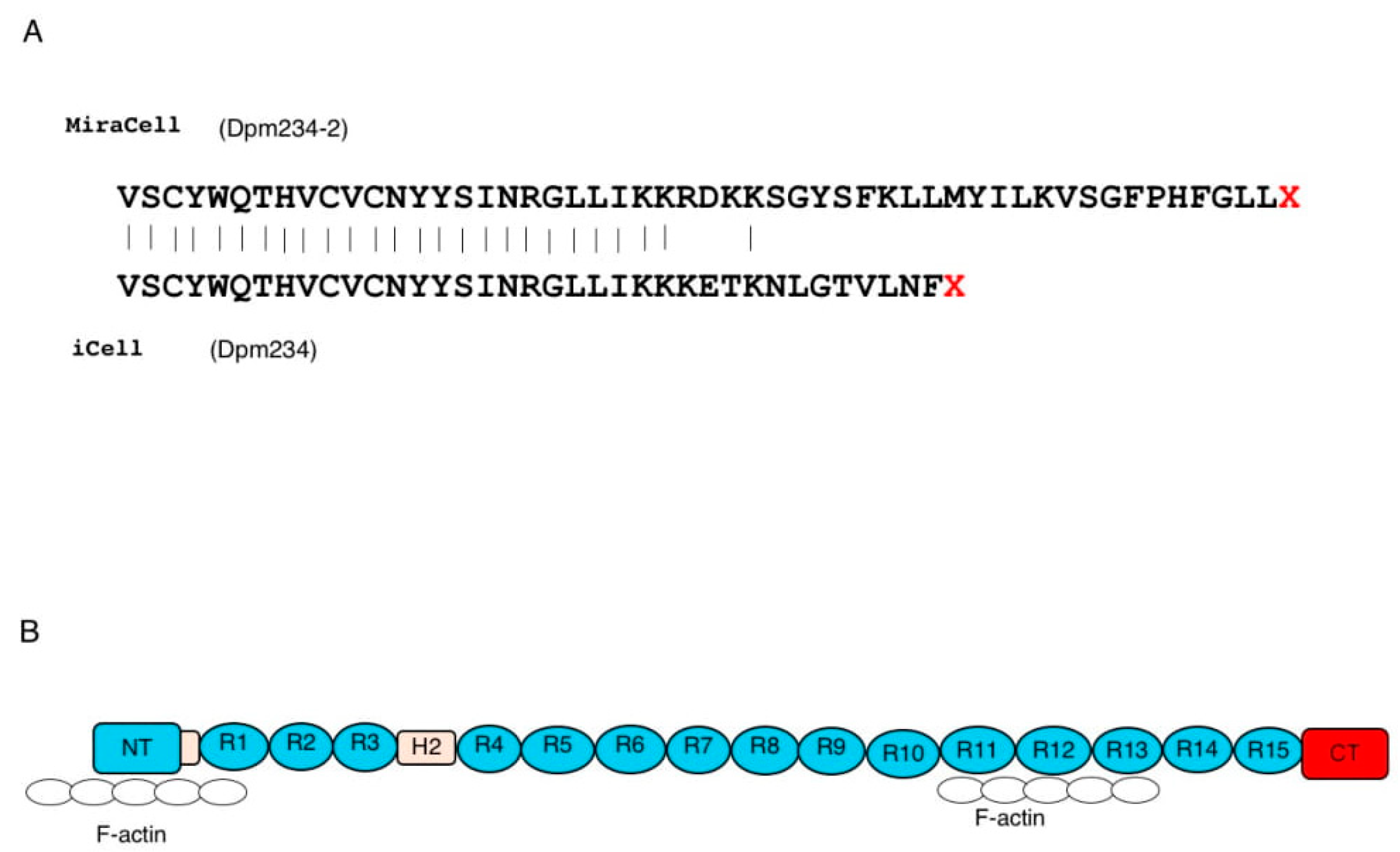 Ijms 21 03555 g003 Ijms 21 03555 g003