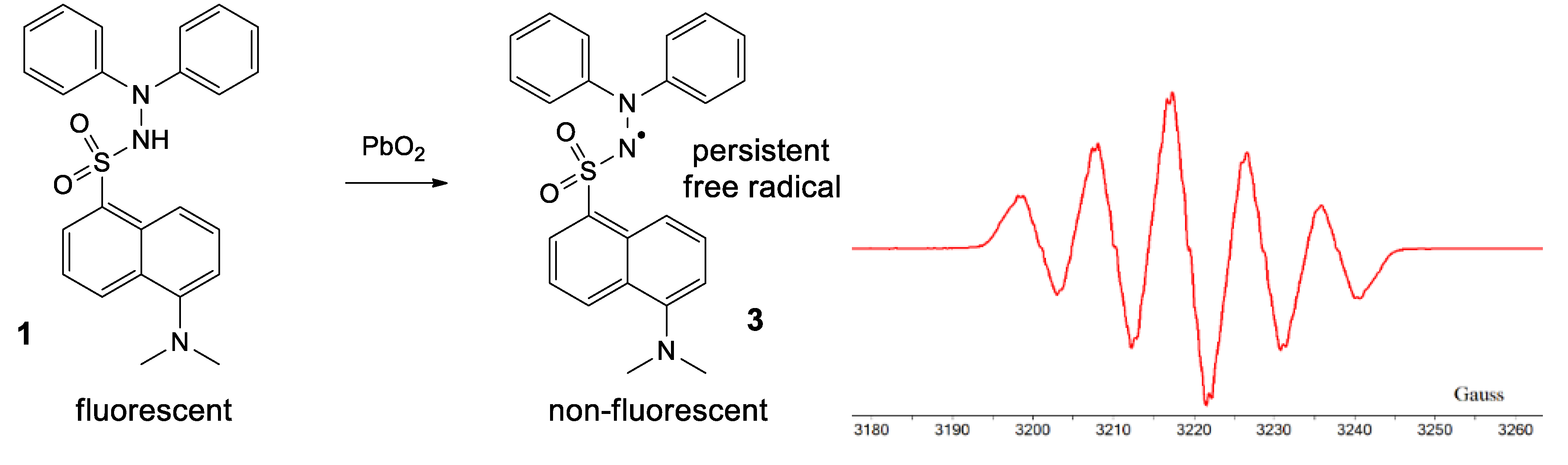 Ijms 21 03559 g008 Ijms 21 03559 g008