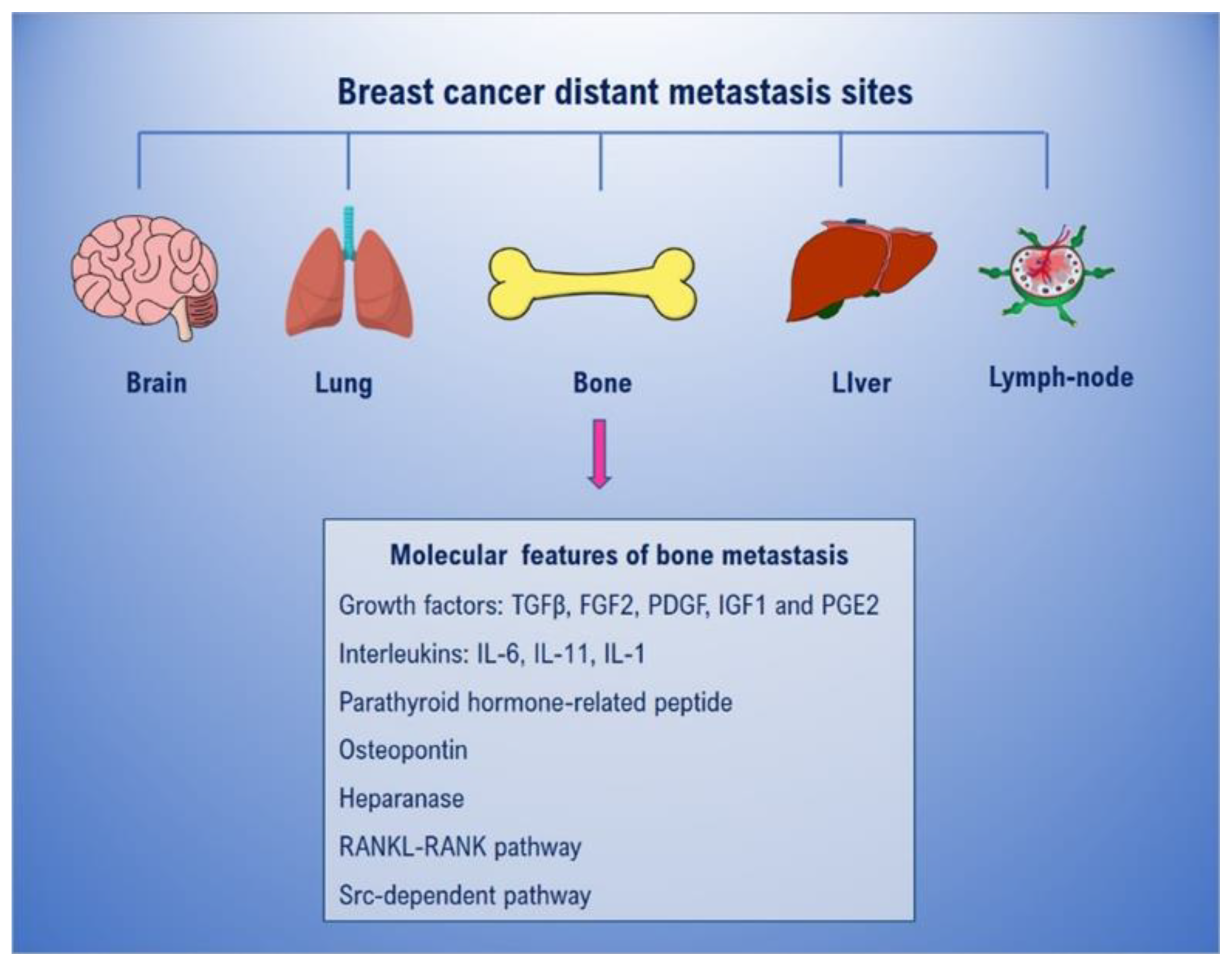 Ijms 21 03573 g001 Ijms 21 03573 g001