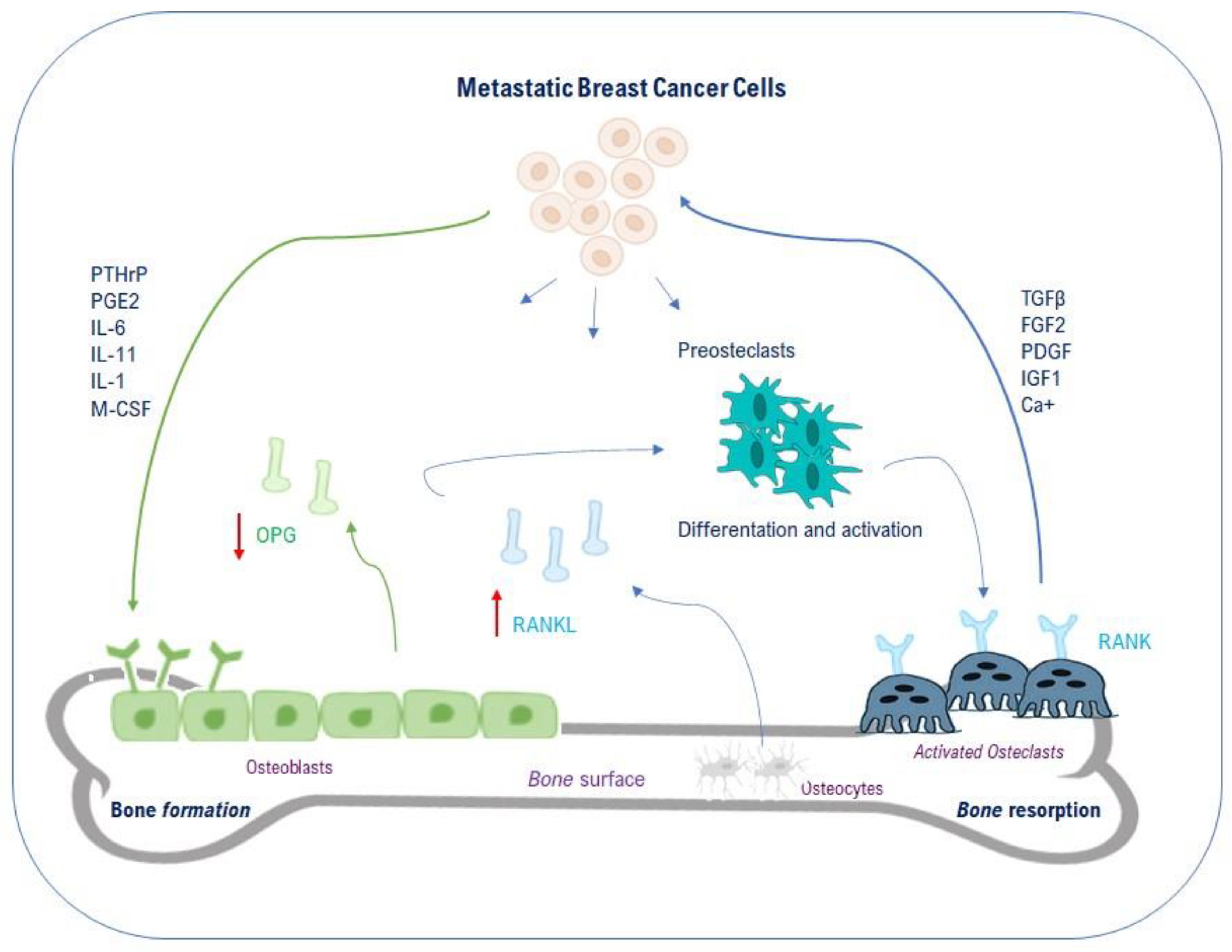 Ijms 21 03573 g002 Ijms 21 03573 g002