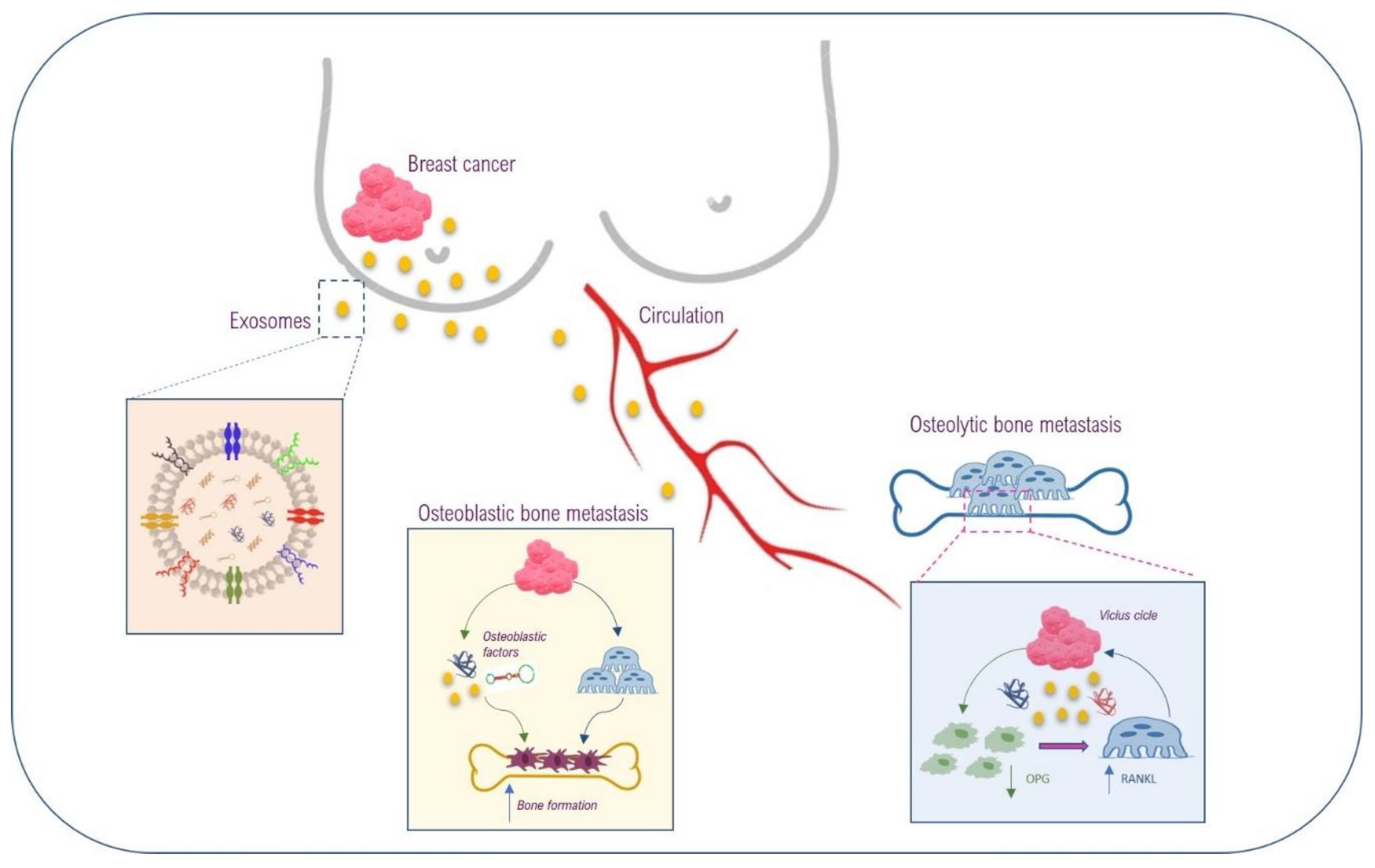 Ijms 21 03573 g004 Ijms 21 03573 g004