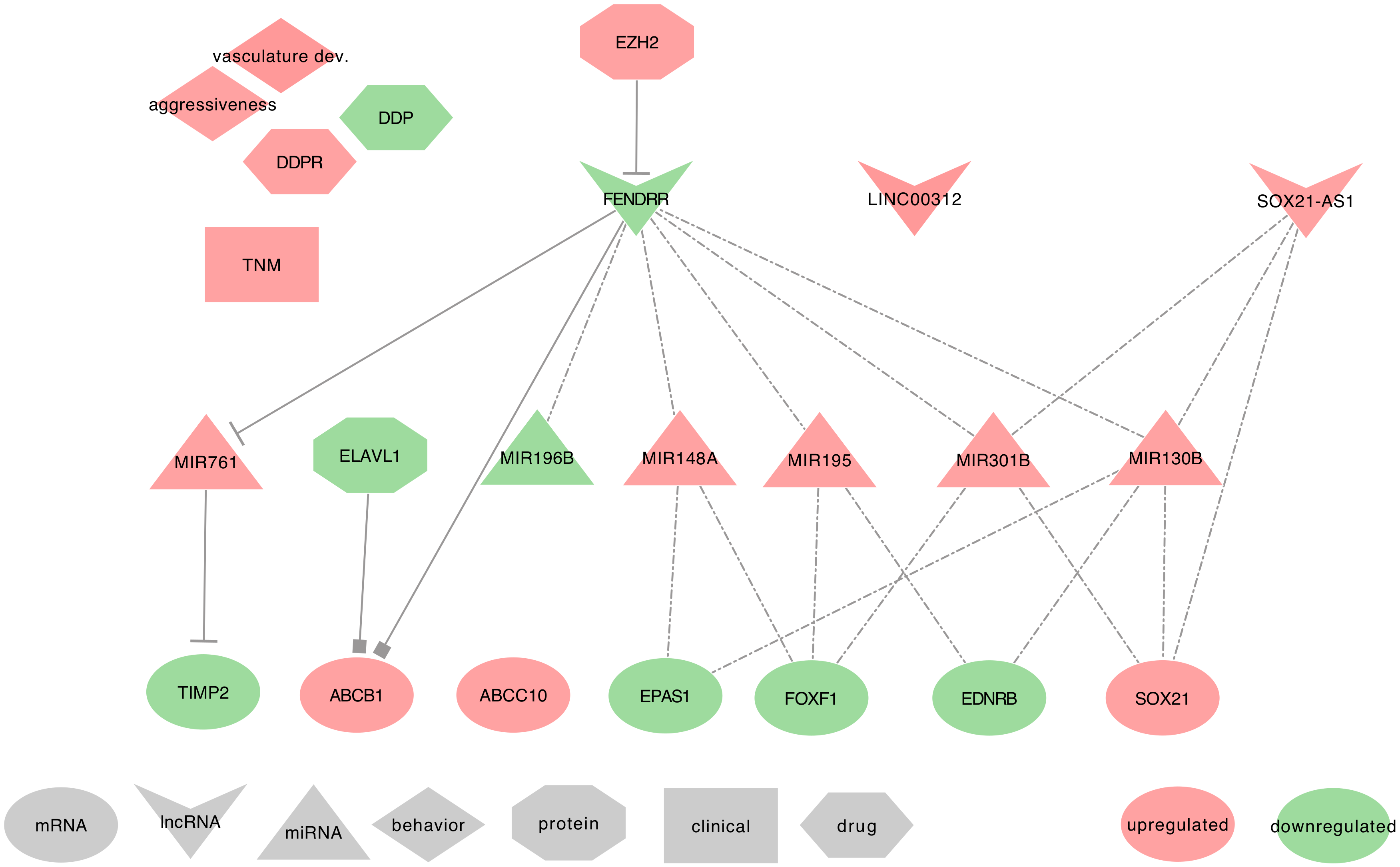 Ijms 21 03580 g008 Ijms 21 03580 g008