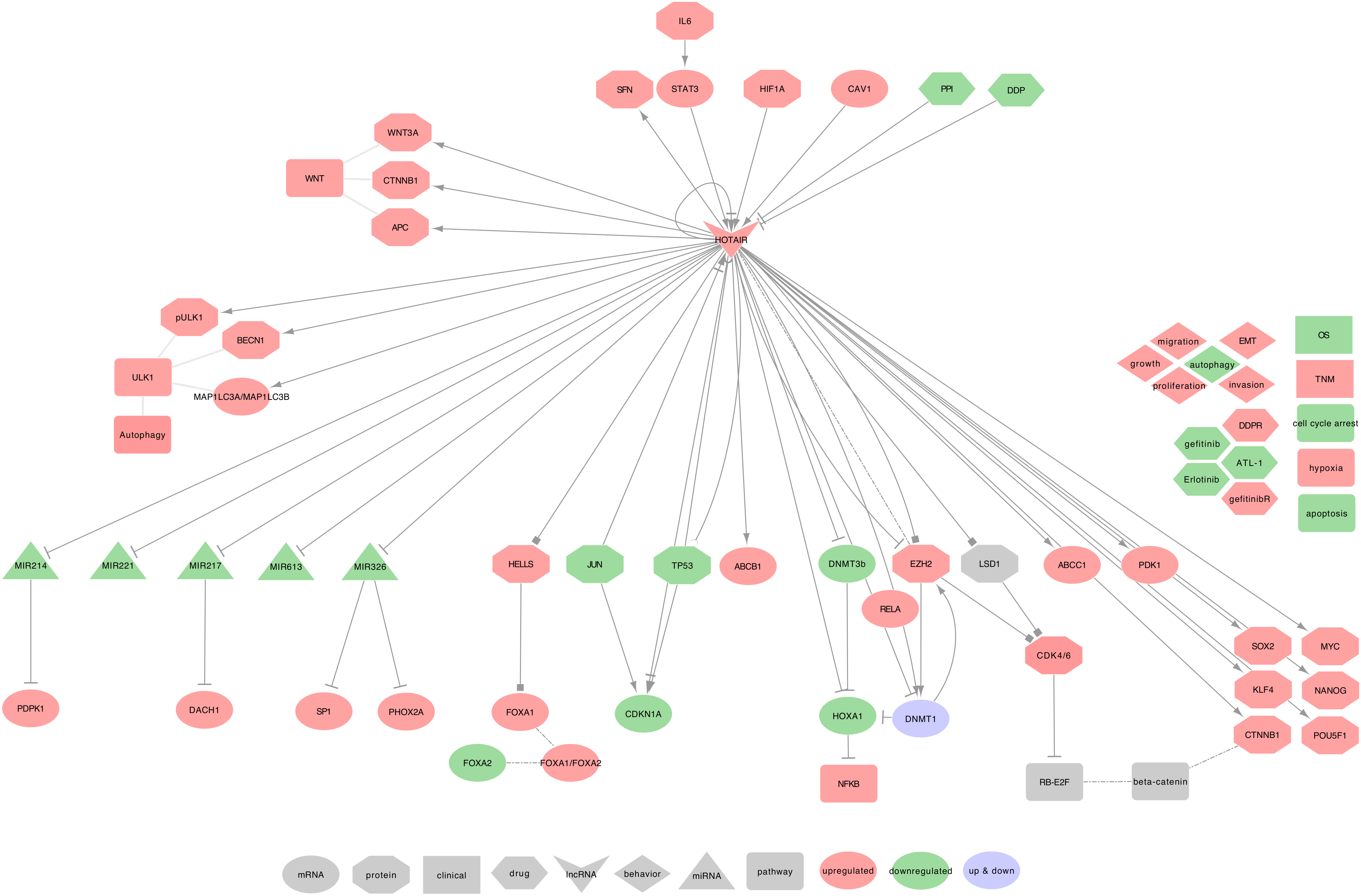 Ijms 21 03580 g011 Ijms 21 03580 g011