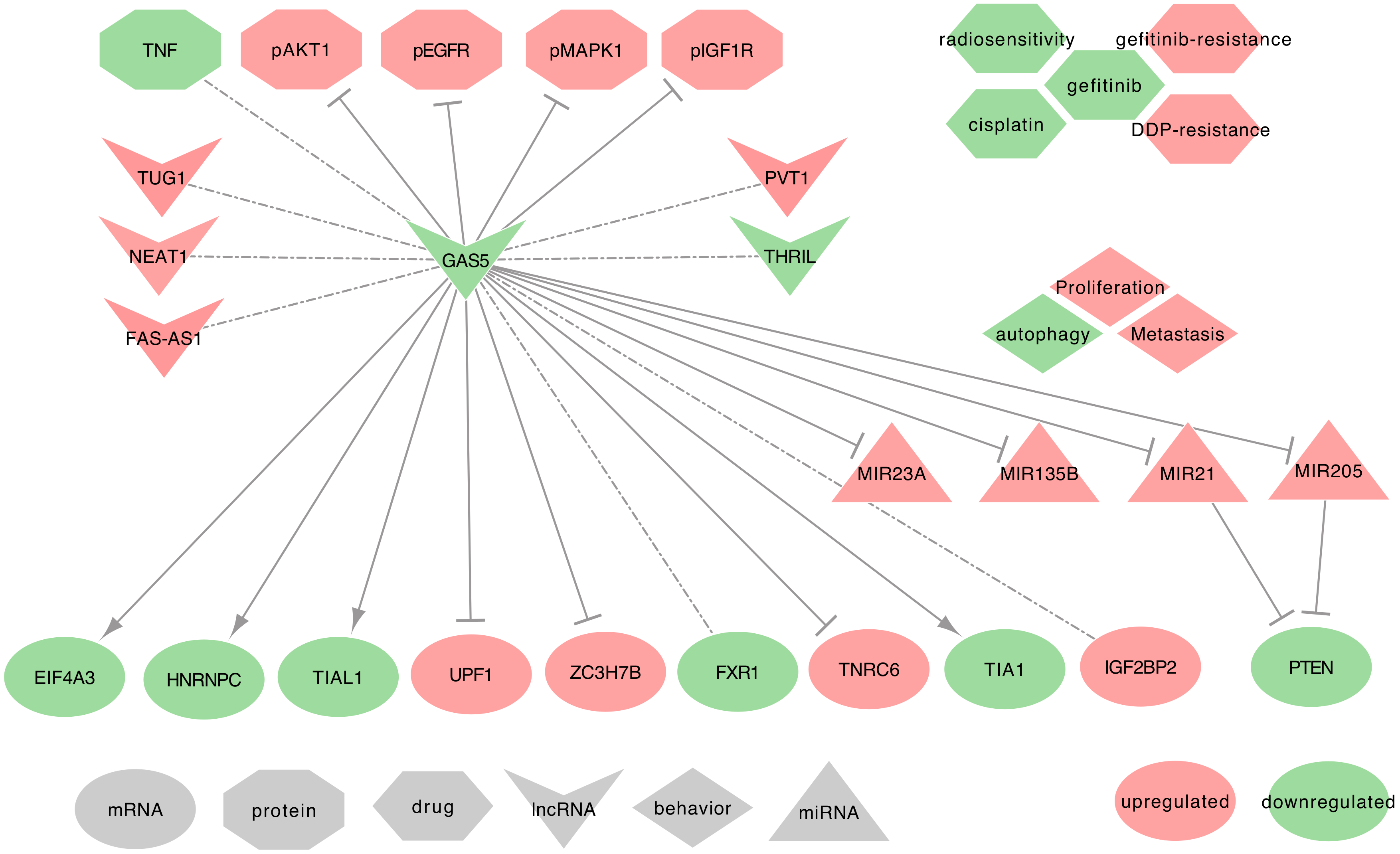 Ijms 21 03580 g012 Ijms 21 03580 g012