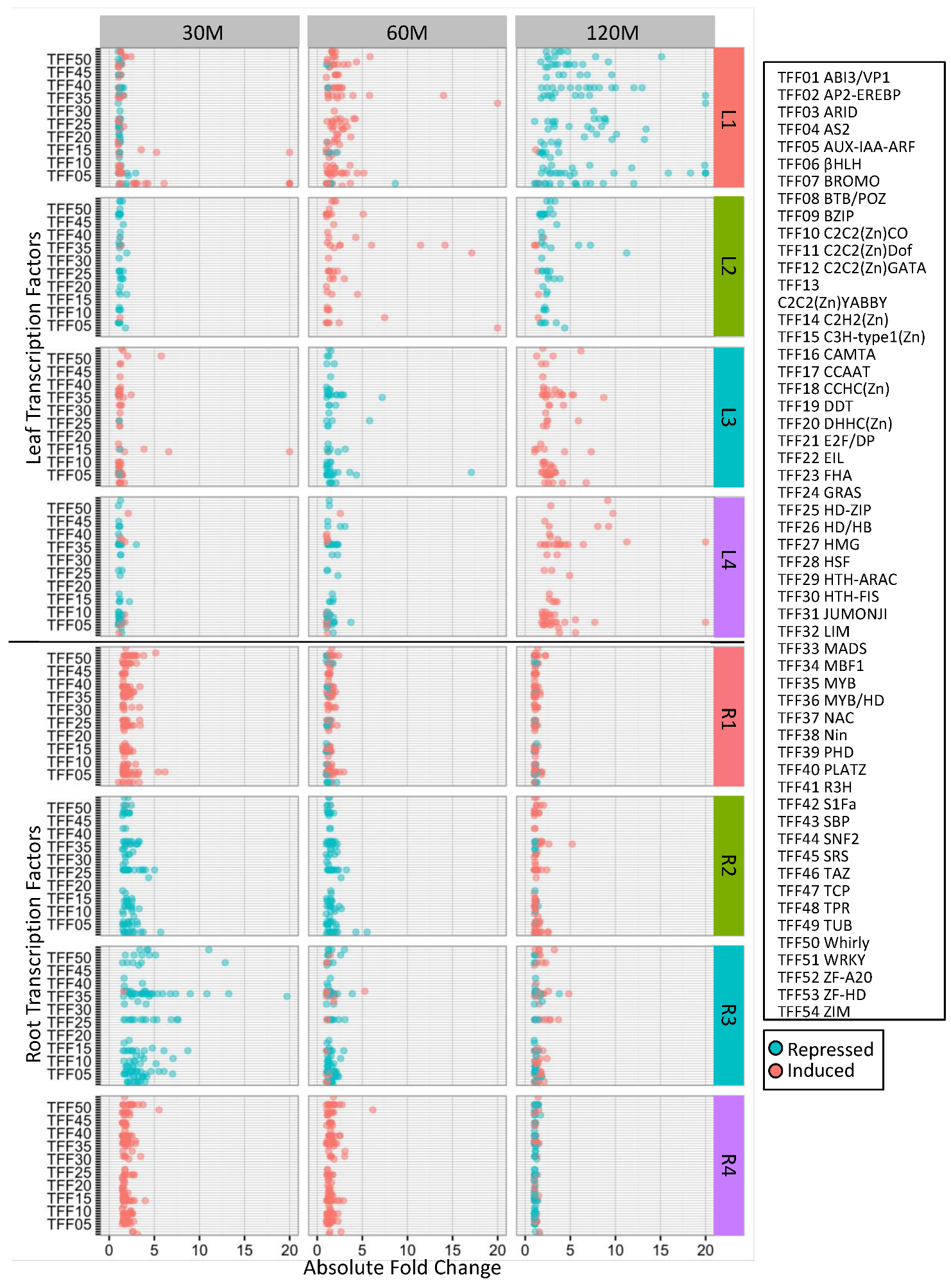 Ijms 21 03591 g004 Ijms 21 03591 g004