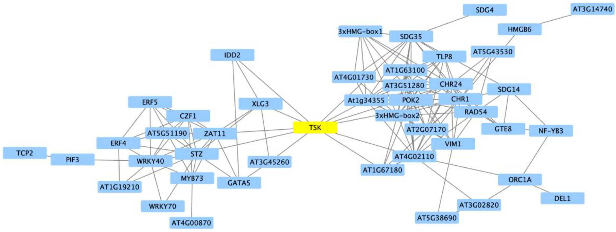 Ijms 21 03591 g005 Ijms 21 03591 g005
