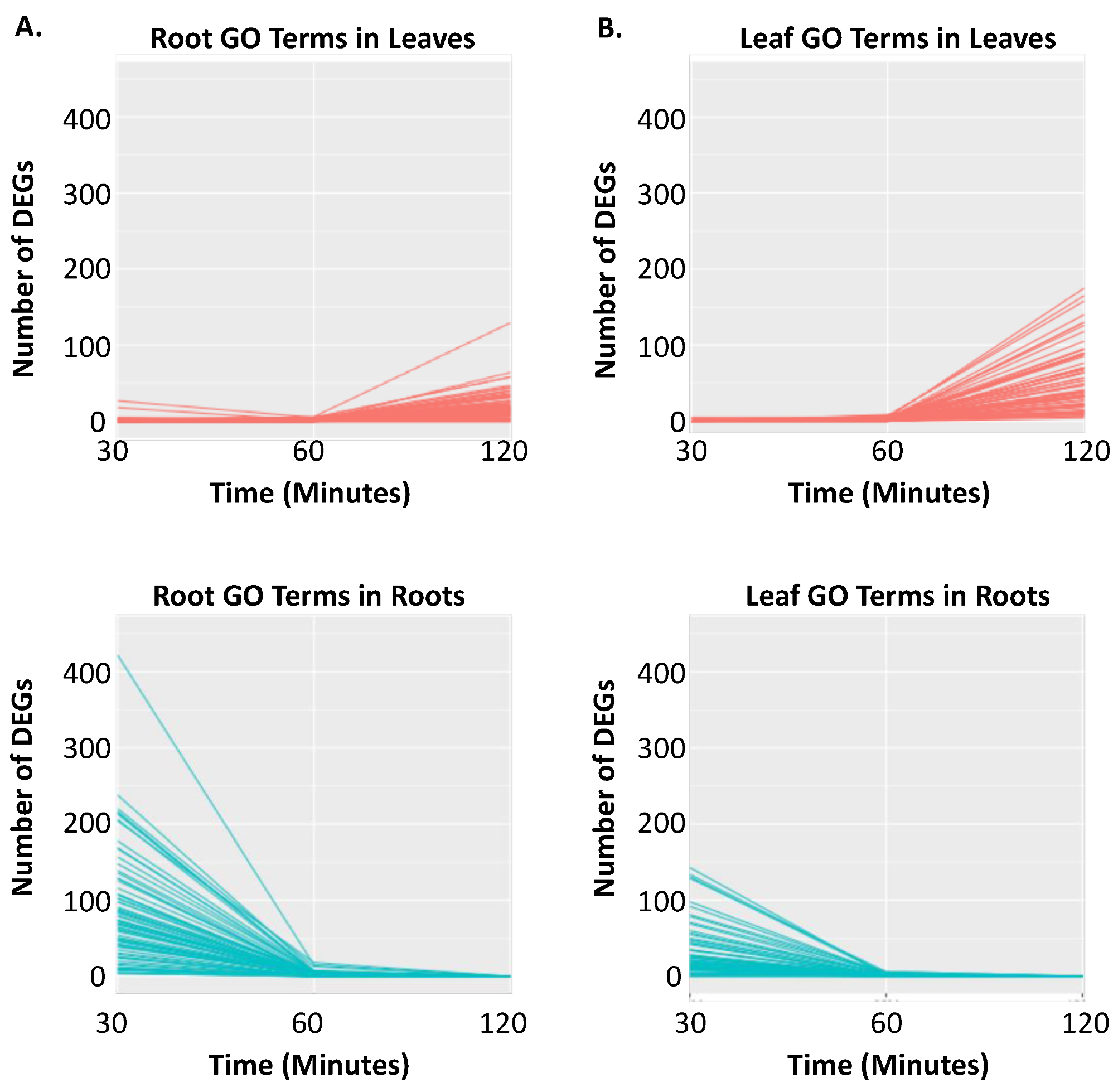 Ijms 21 03591 g006 Ijms 21 03591 g006