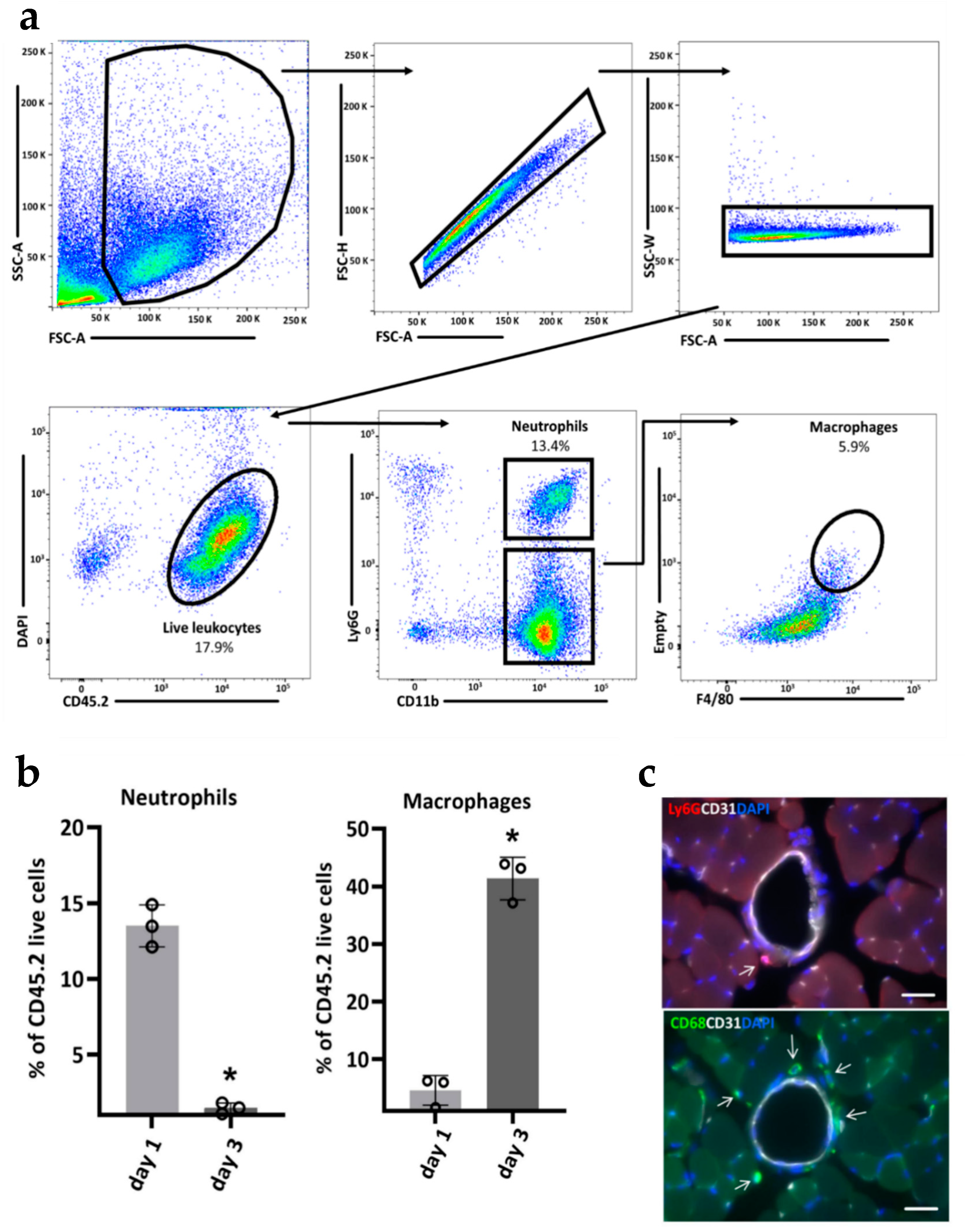 Ijms 21 03593 g002 Ijms 21 03593 g002
