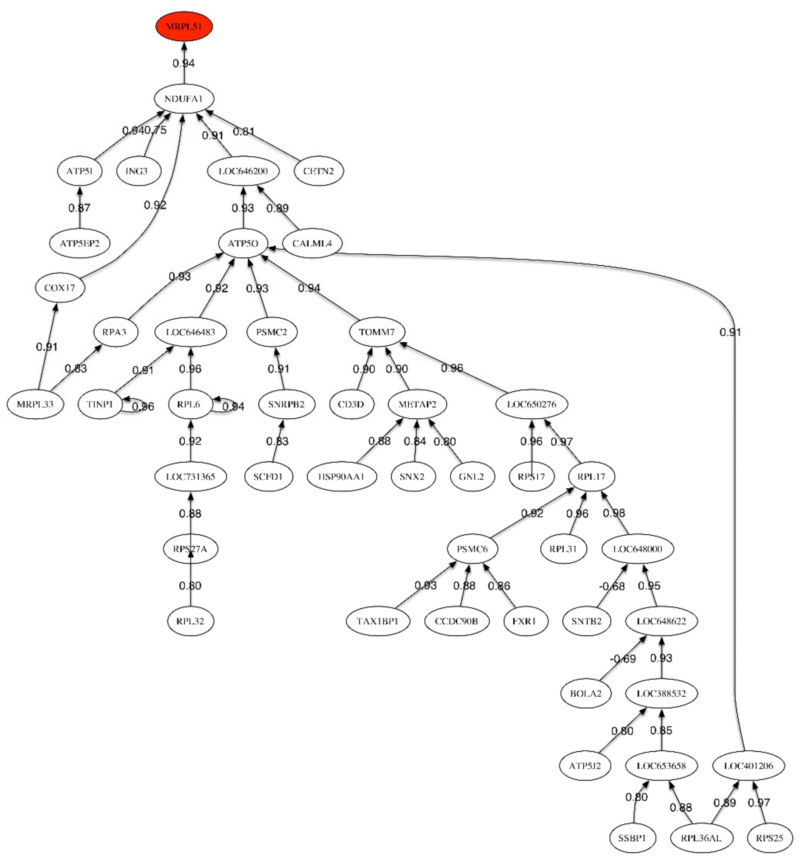 Ijms 21 03594 g001 Ijms 21 03594 g001