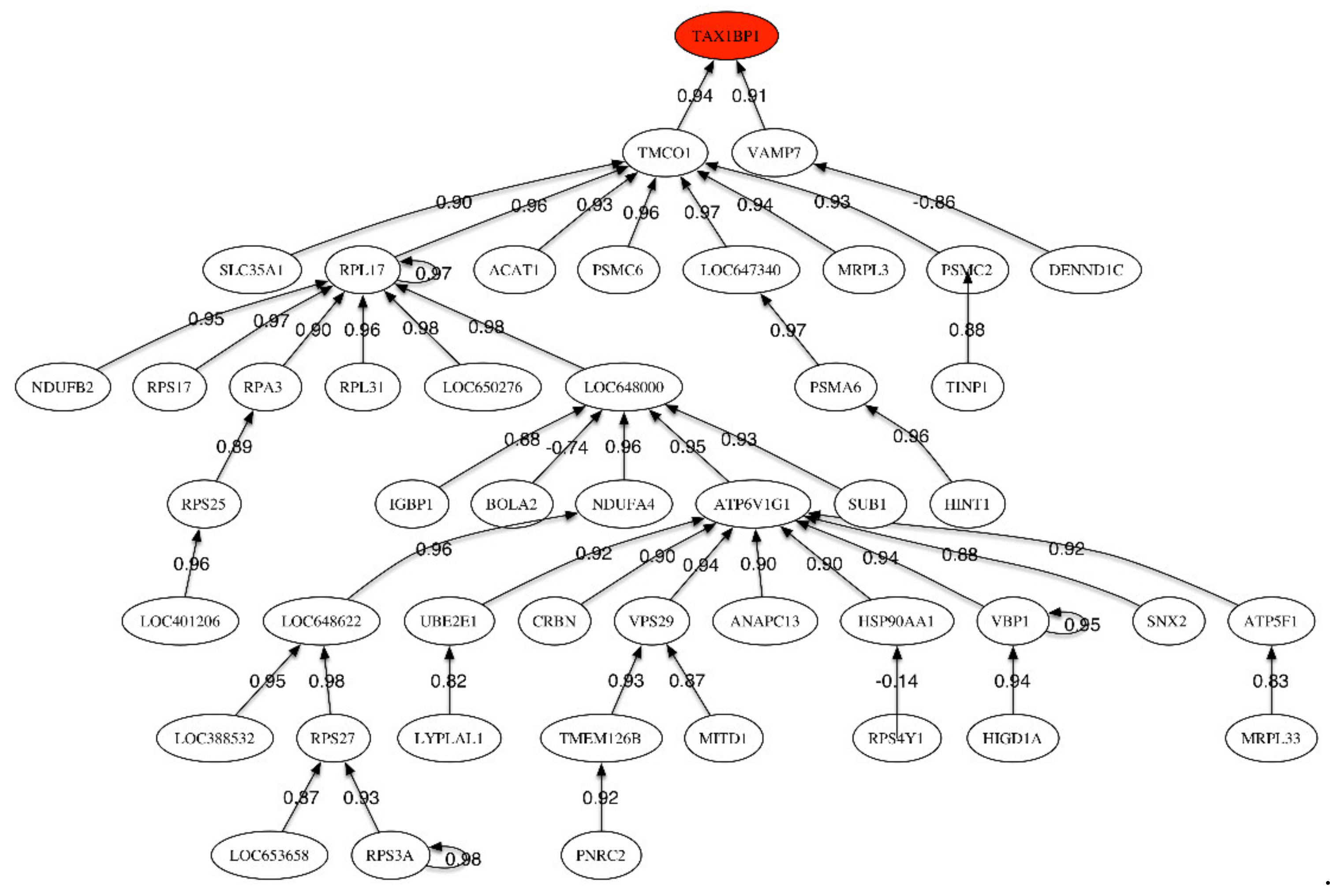 Ijms 21 03594 g002 Ijms 21 03594 g002