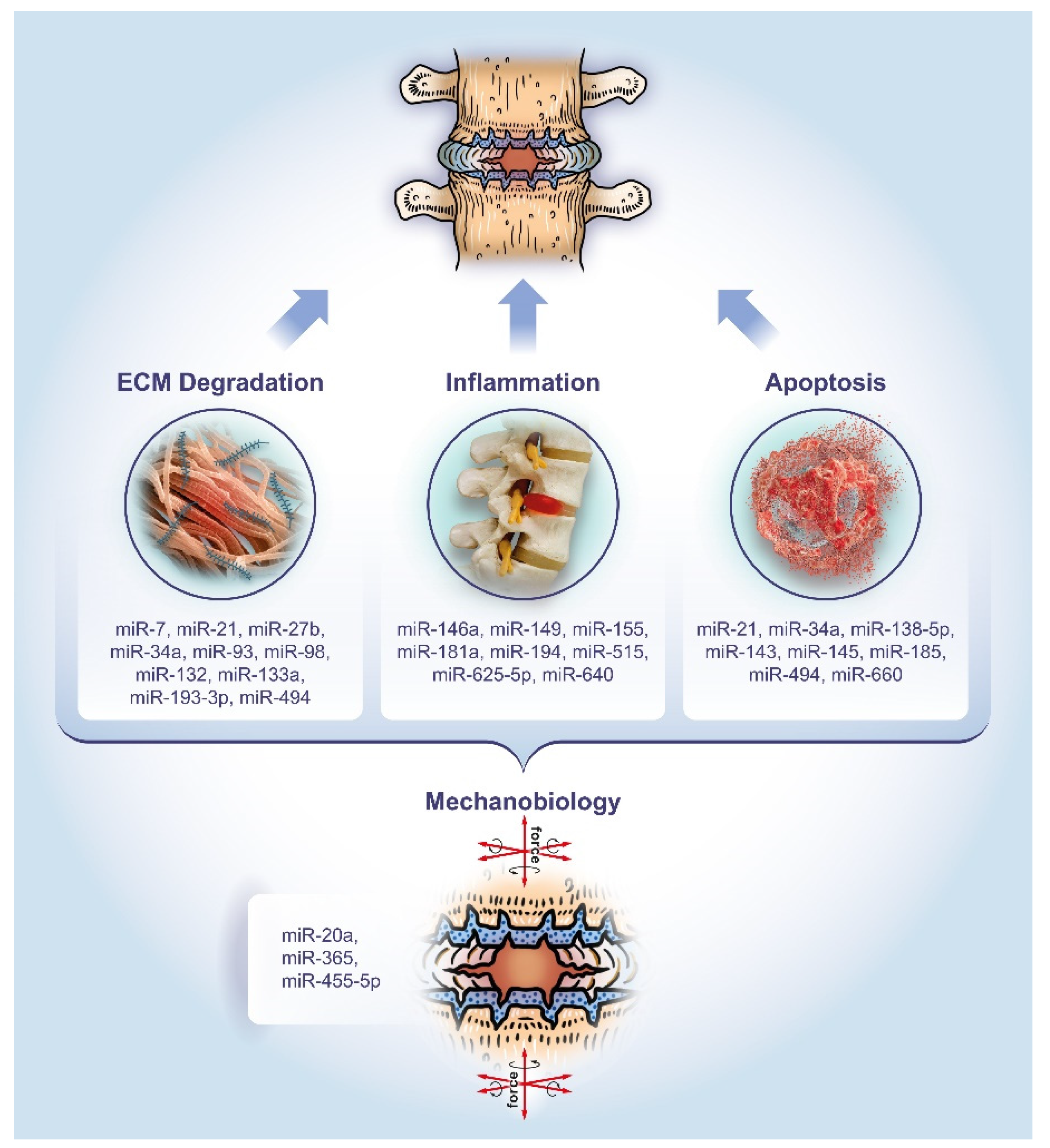 Ijms 21 03601 g001 Ijms 21 03601 g001