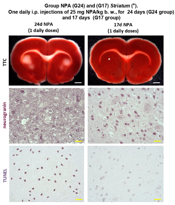 Ijms 21 03609 g001 Ijms 21 03609 g001