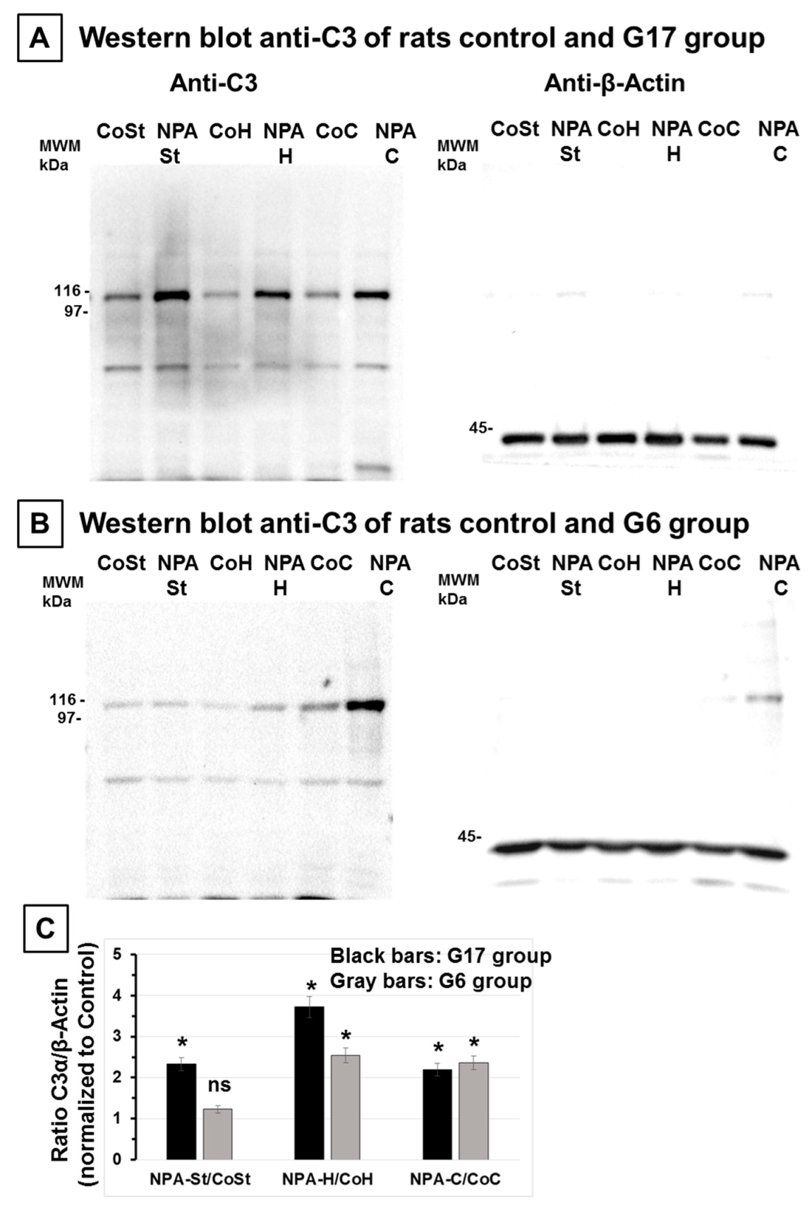 Ijms 21 03609 g003 Ijms 21 03609 g003