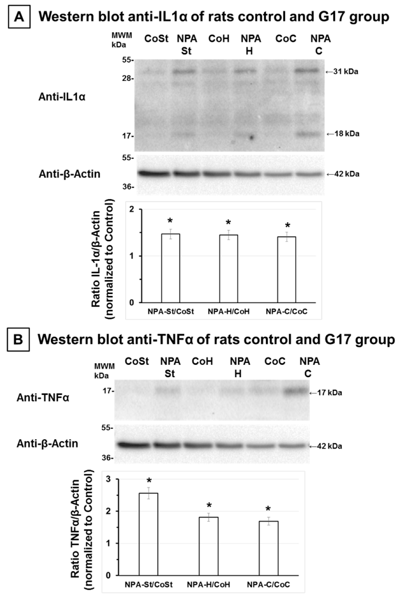Ijms 21 03609 g004 Ijms 21 03609 g004