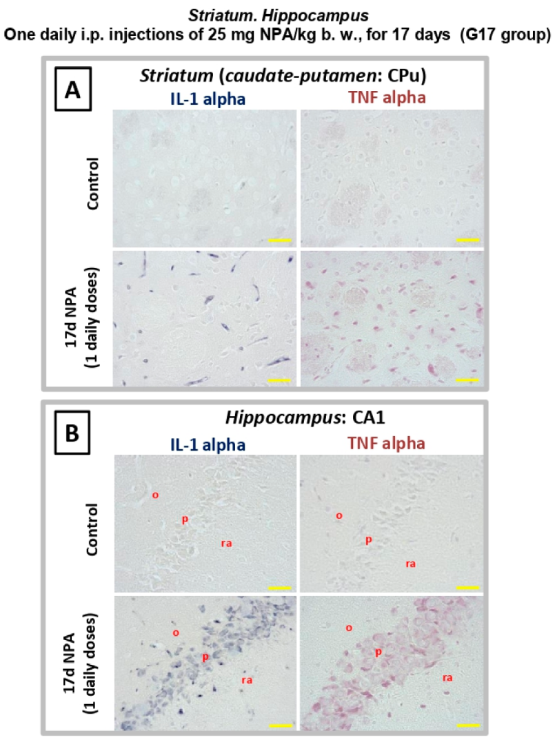 Ijms 21 03609 g007 Ijms 21 03609 g007