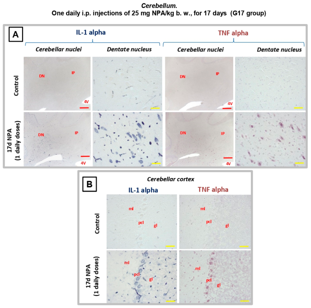 Ijms 21 03609 g008 Ijms 21 03609 g008