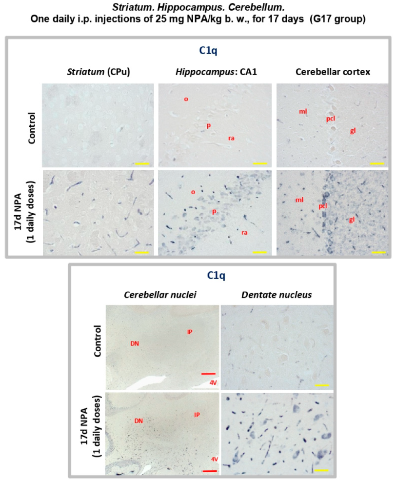 Ijms 21 03609 g009 Ijms 21 03609 g009
