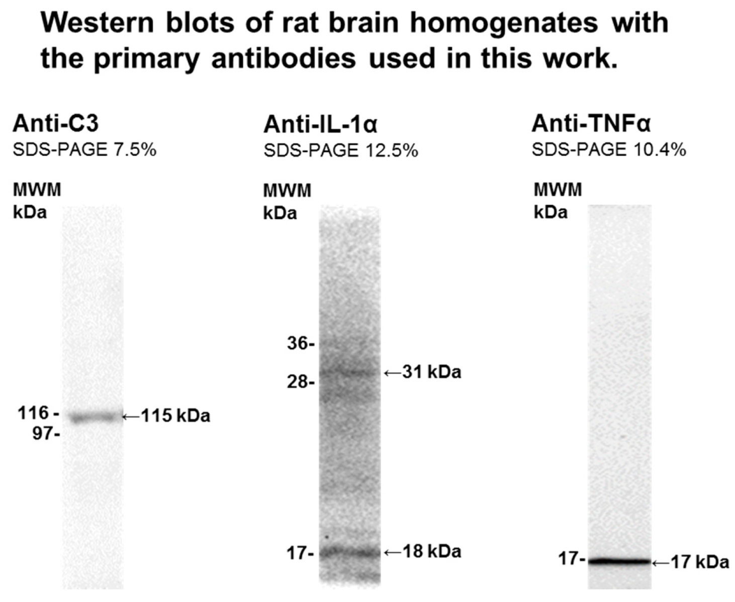 Ijms 21 03609 g010 Ijms 21 03609 g010