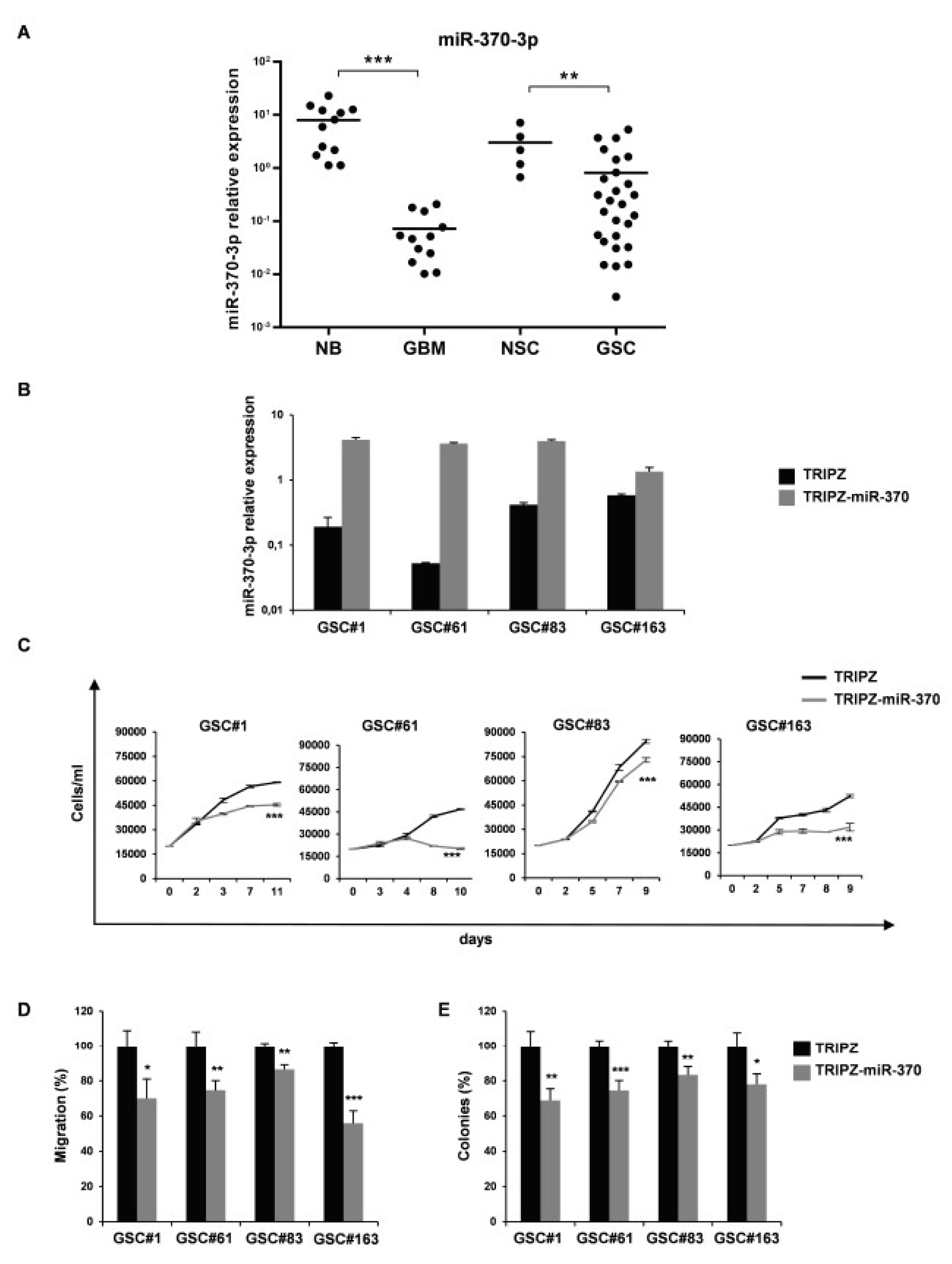 Ijms 21 03610 g001 Ijms 21 03610 g001