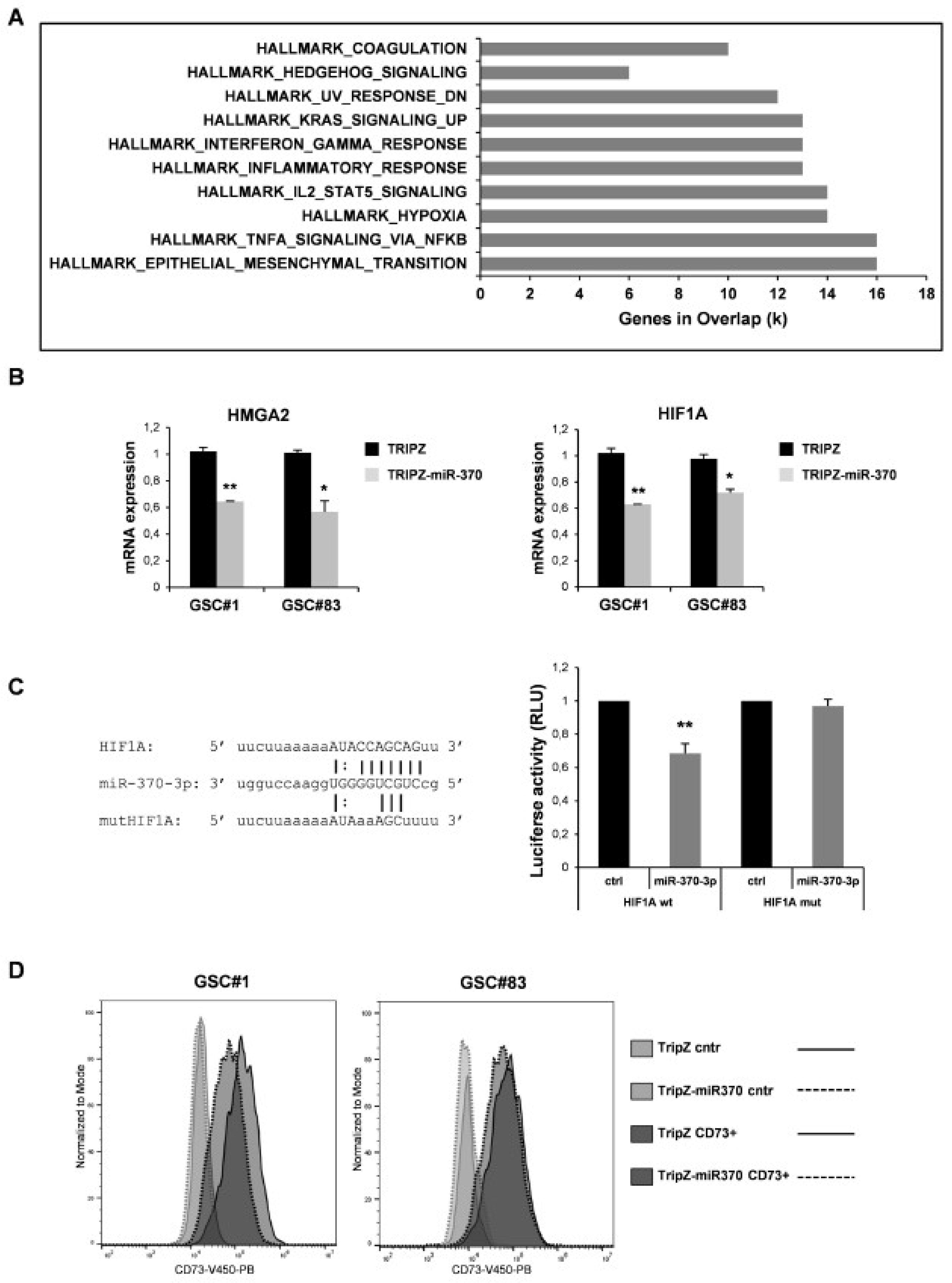 Ijms 21 03610 g003 Ijms 21 03610 g003