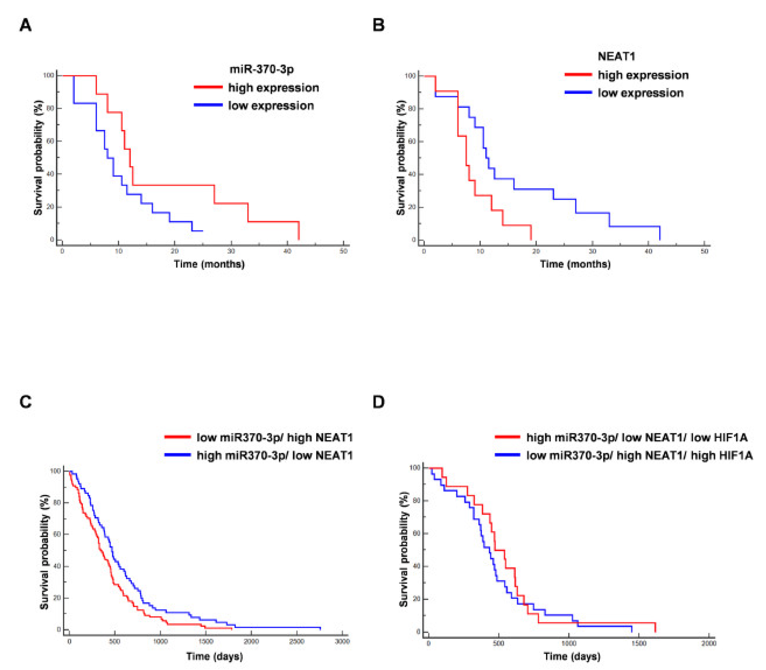 Ijms 21 03610 g005 Ijms 21 03610 g005