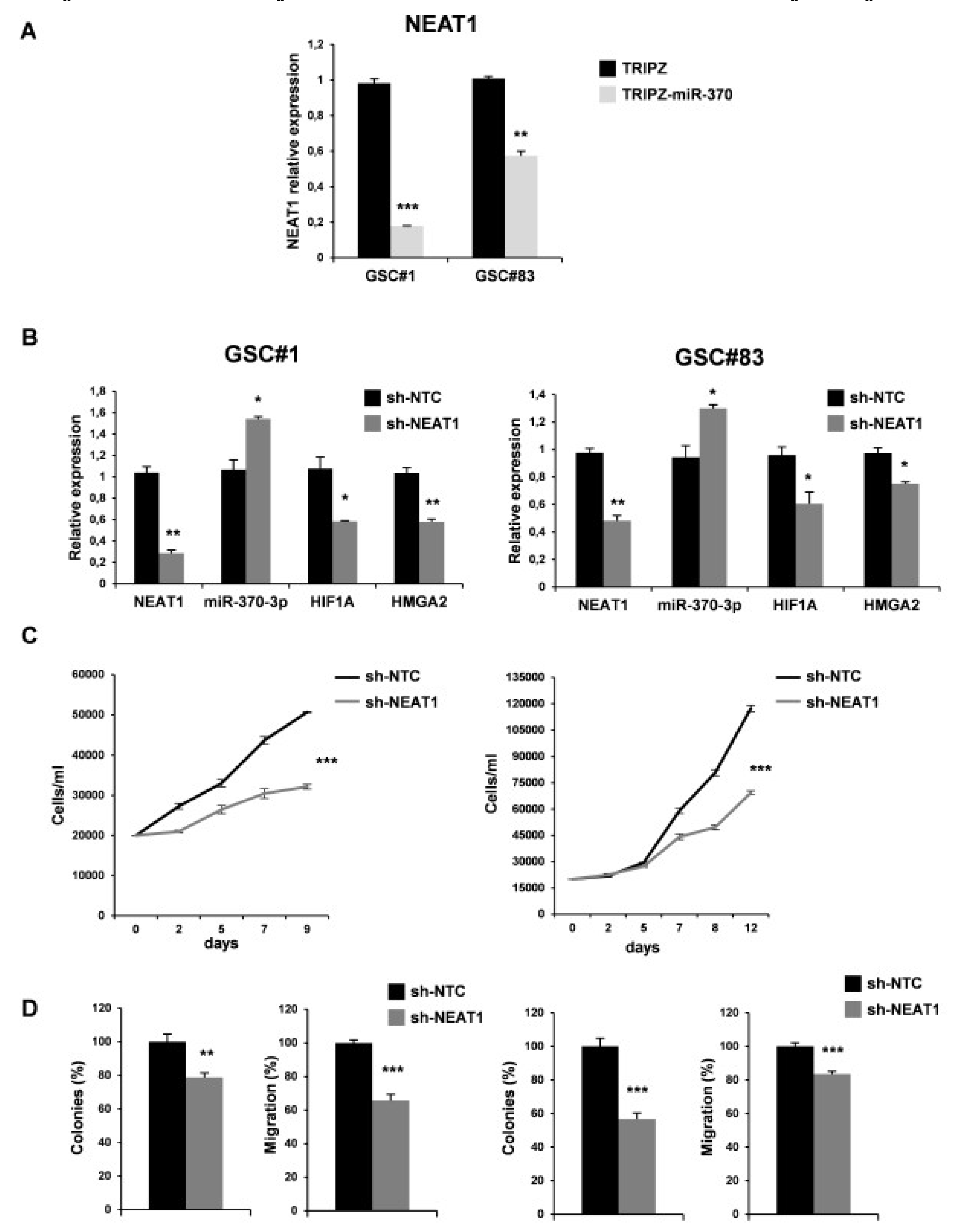 Ijms 21 03610 g006 Ijms 21 03610 g006