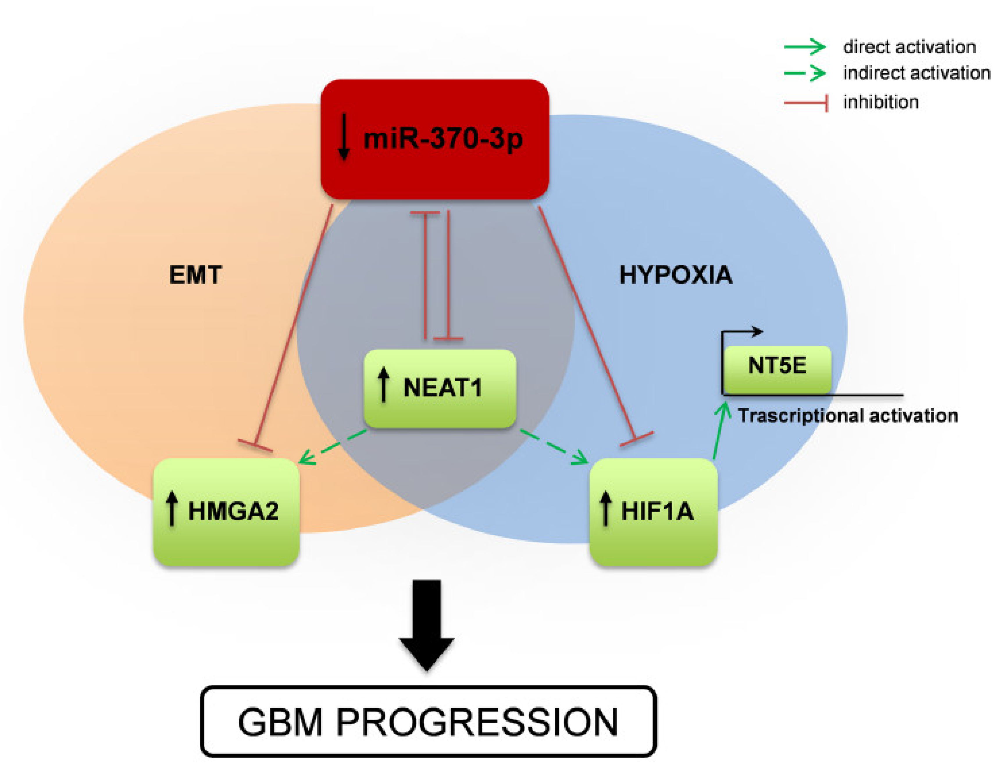 Ijms 21 03610 g007 Ijms 21 03610 g007